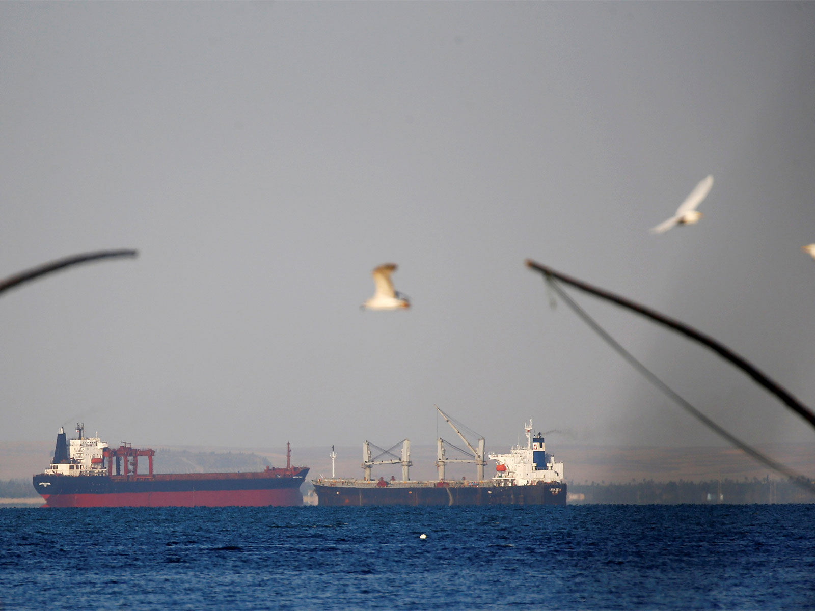 Representative Image (Photo/Reuters)