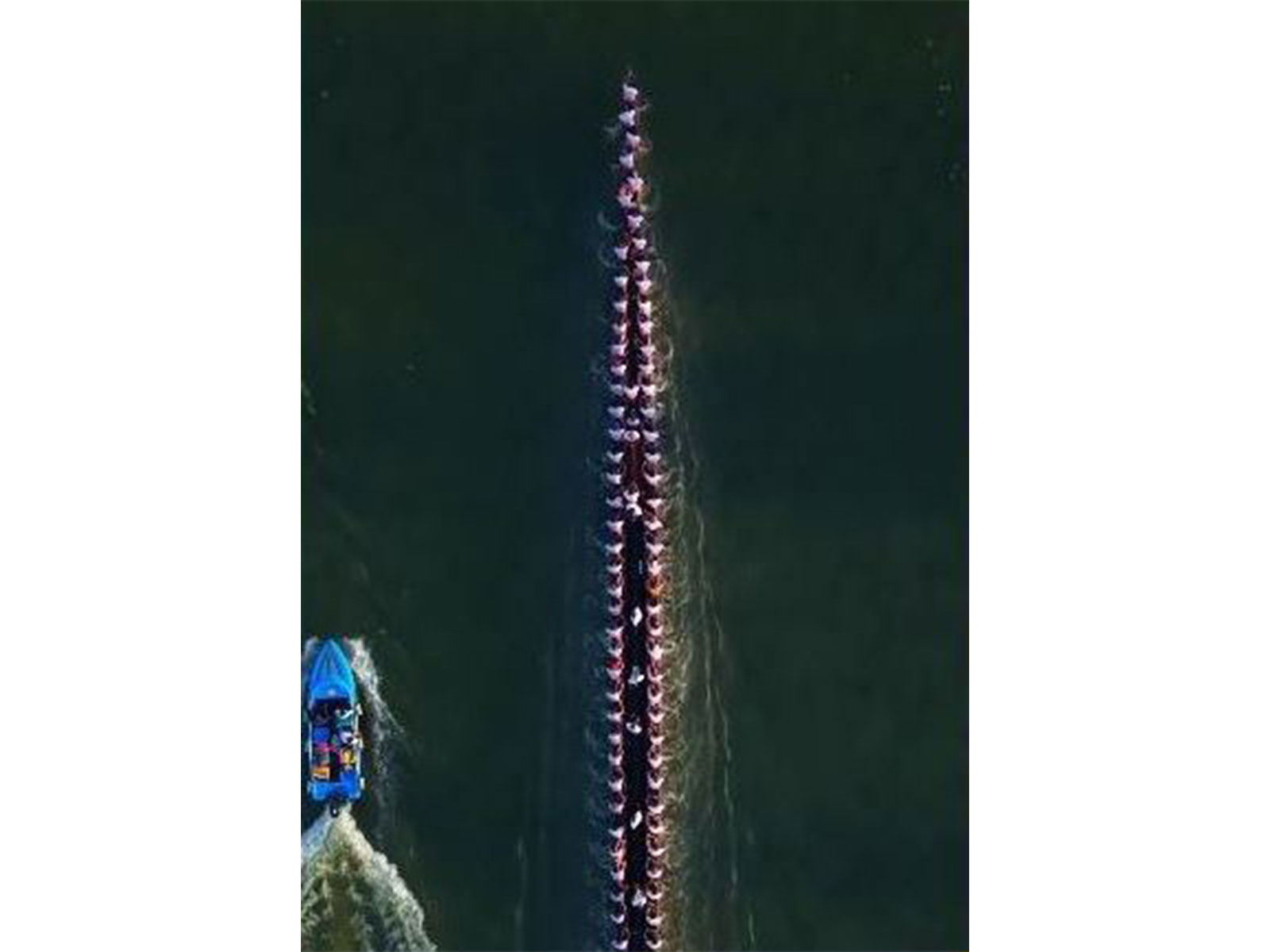 Boat race in Keralam (Photo credit Instagram/@Keralatourism)