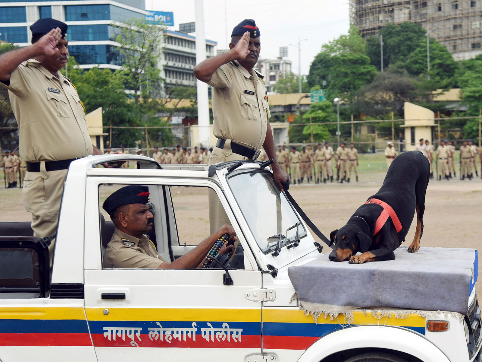 Retired Police dogs to remain with handlers post-retirement (Photo/ANI)
