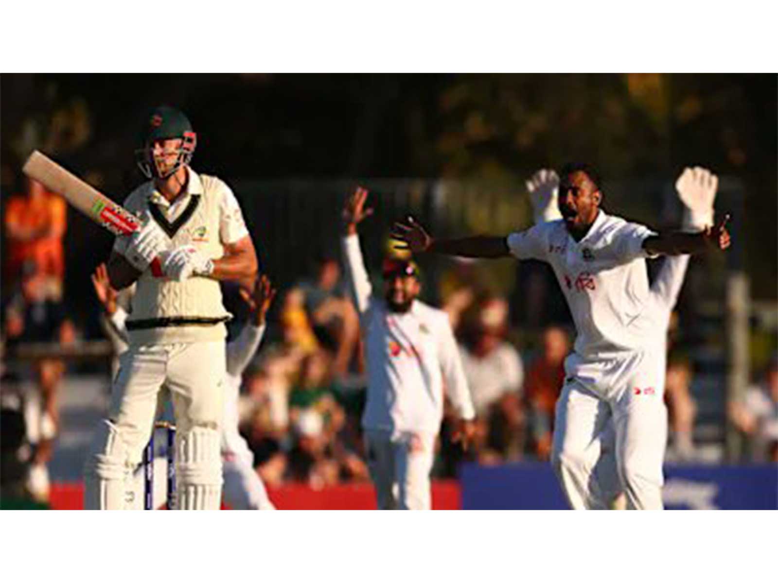 Shoriful Islam celebrating a wicket. (Photo: ICC)