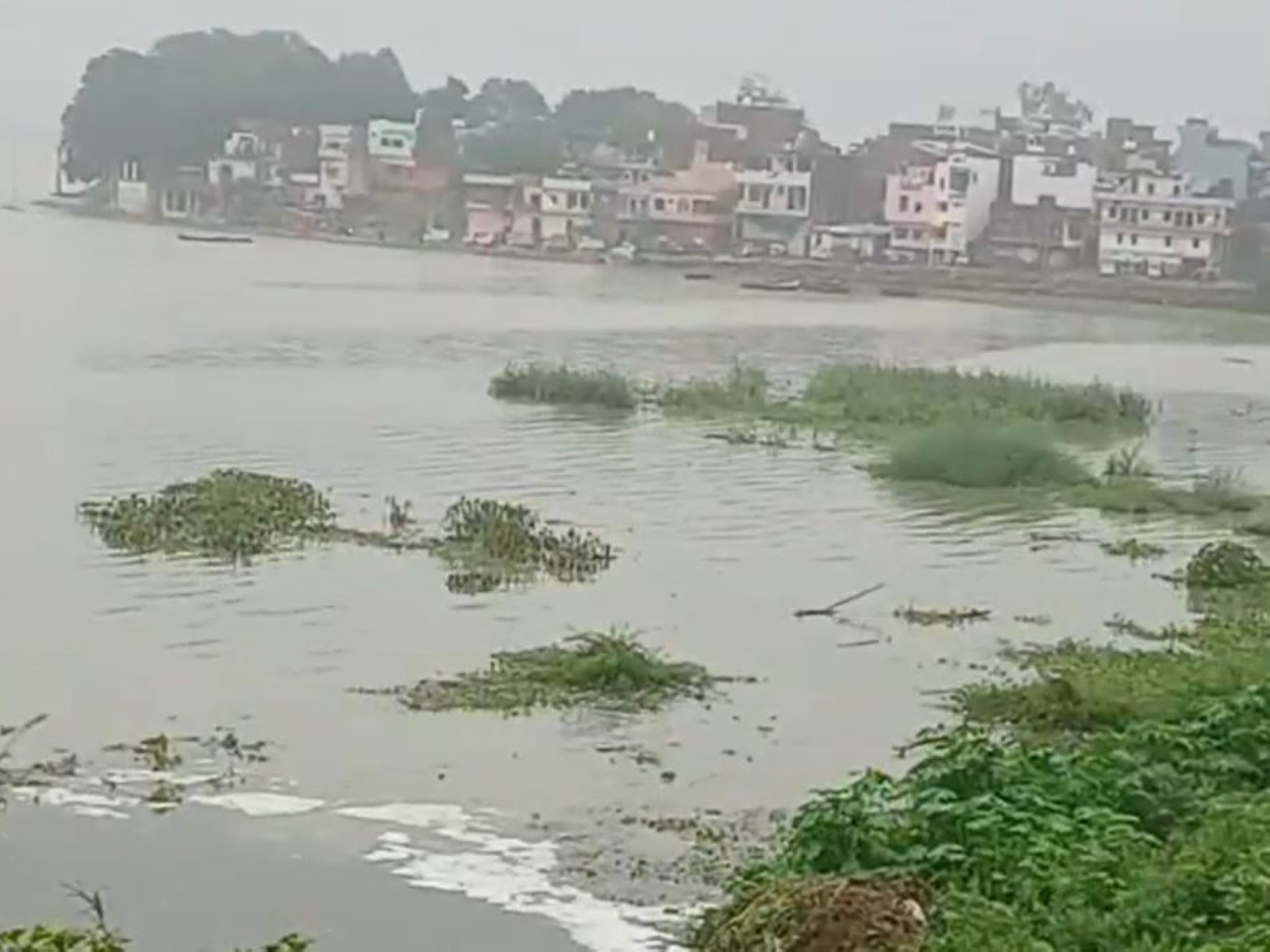 Rising Ganga and Yamuna water levels shift Sangam location, water reaches low-lying areas near Nagvasuki Temple (Photo/ ANI) 