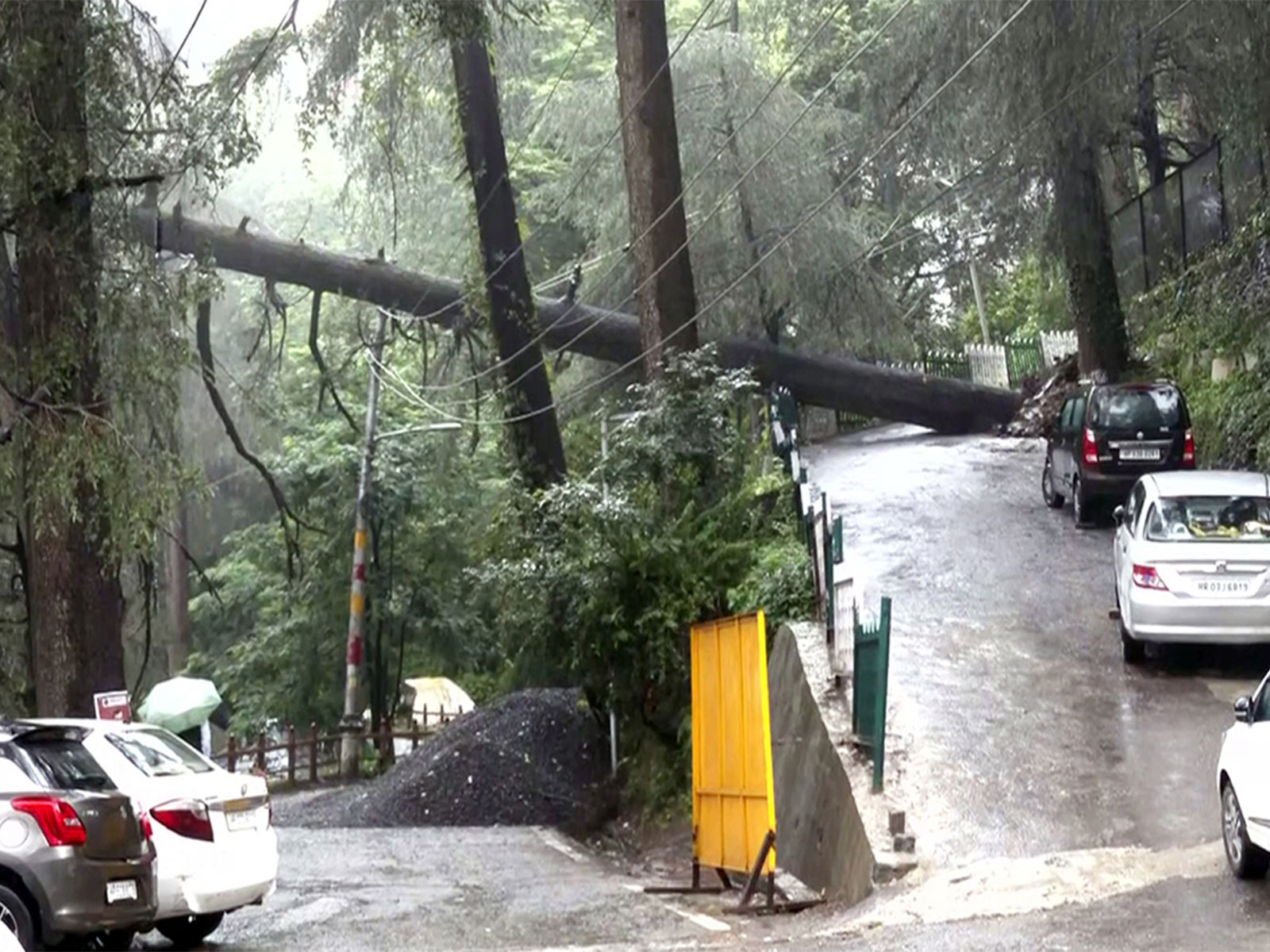  A view of an uprooted tree, blocking the Banmore road, following a heavy rainfall in Shimla (Photo/ANI) 