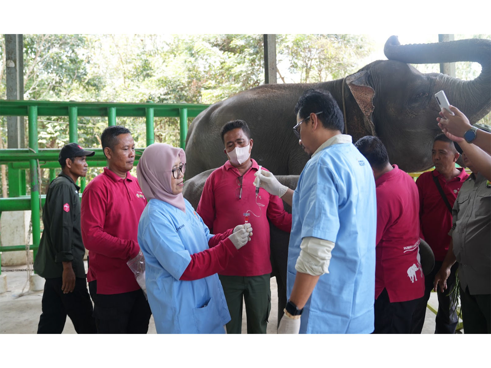 Indonesia and Vantara launch major wildlife health and conservation partnership (Photo/ Vantara)