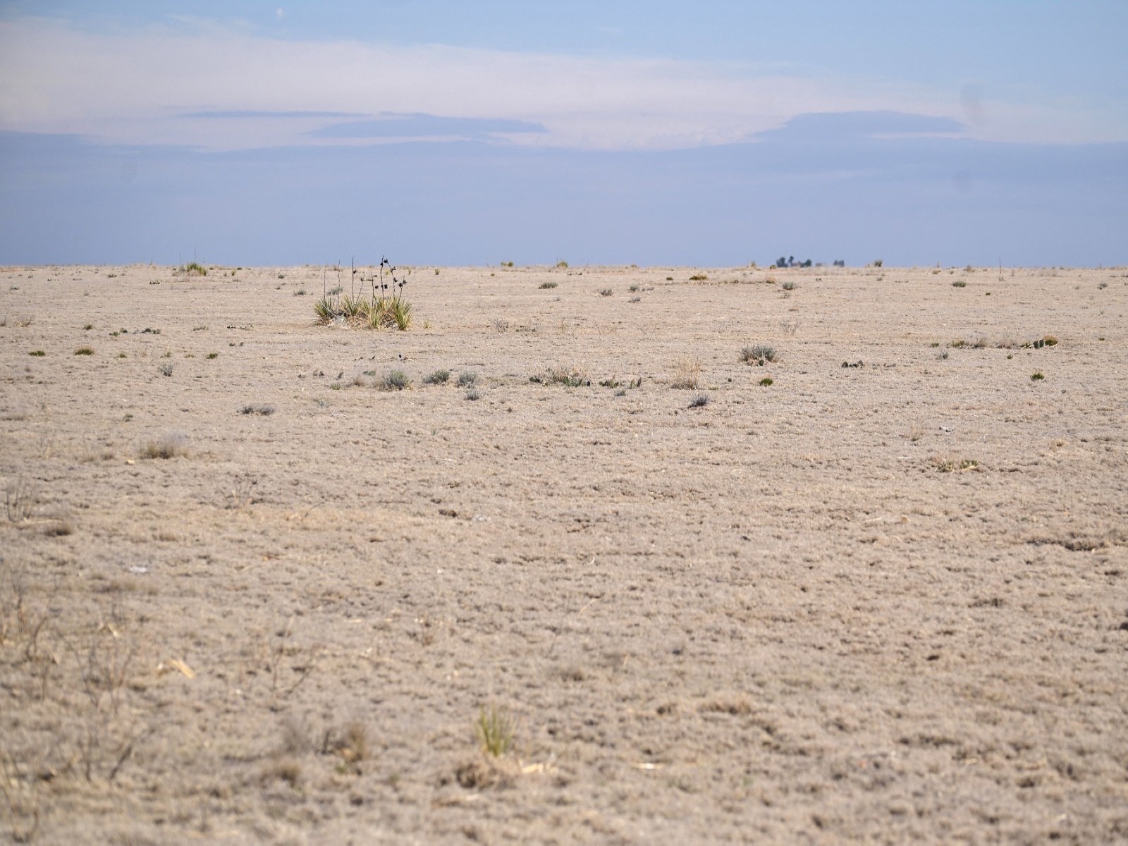 Drought-stricken rangeland stretches near Two Buttes, Colorado, US (Photo/Reuters)