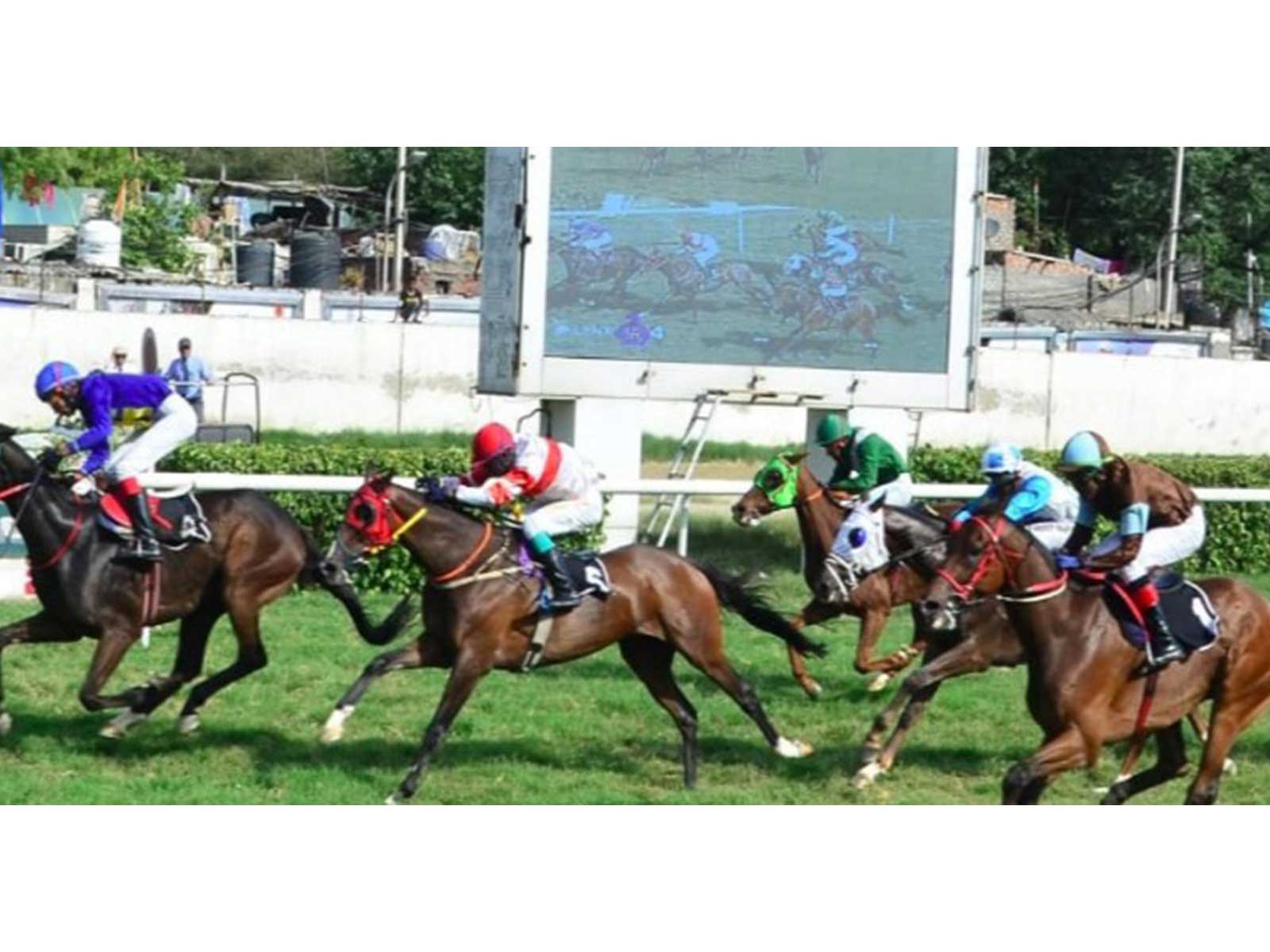 Delhi Race Club (Photo/Delhi Race Club)