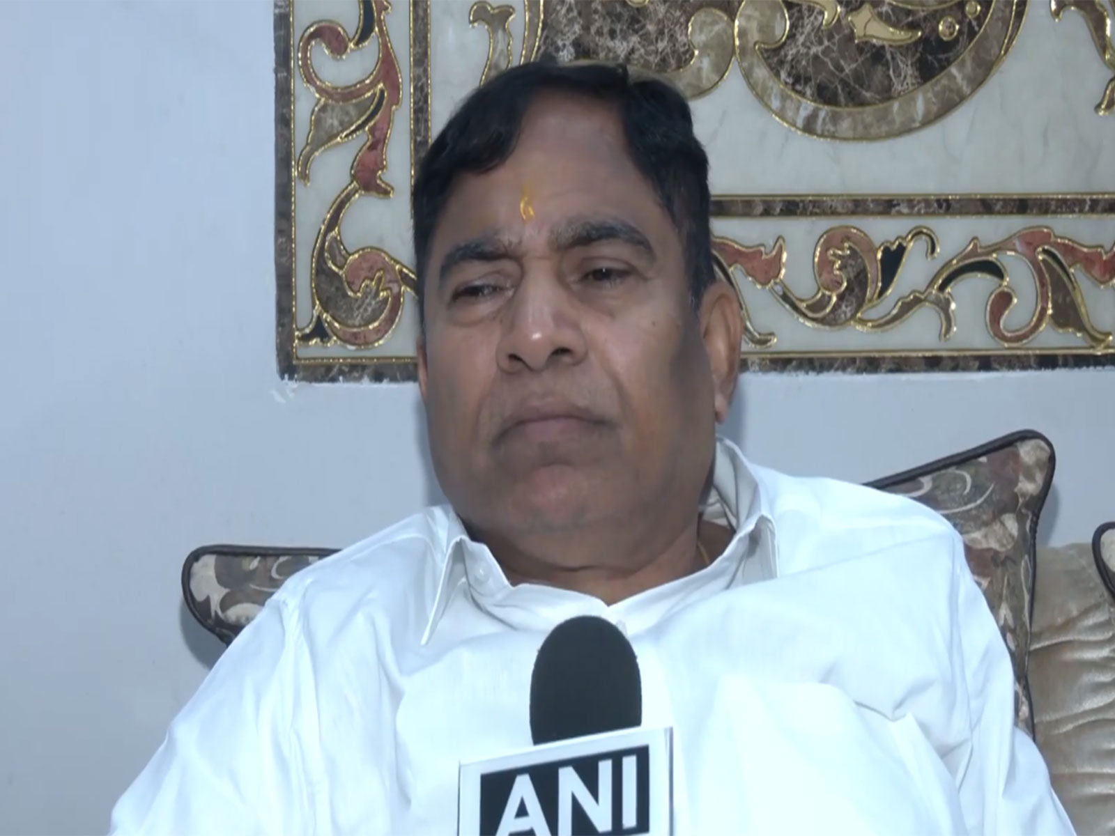 BJP MP Yogender Chandolia (Photo/ANI)