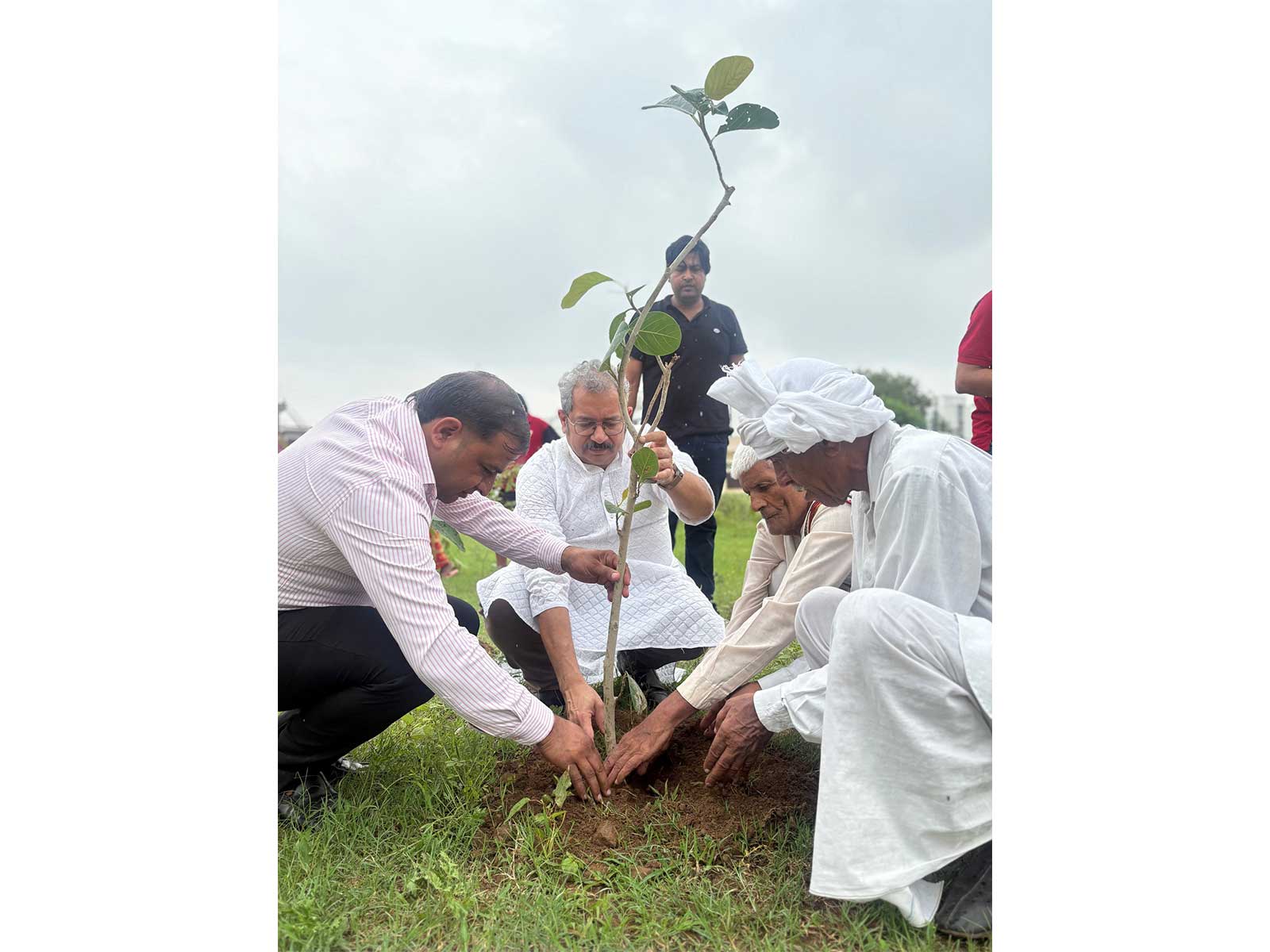 M3M Foundation's plantation drive across Gurugram