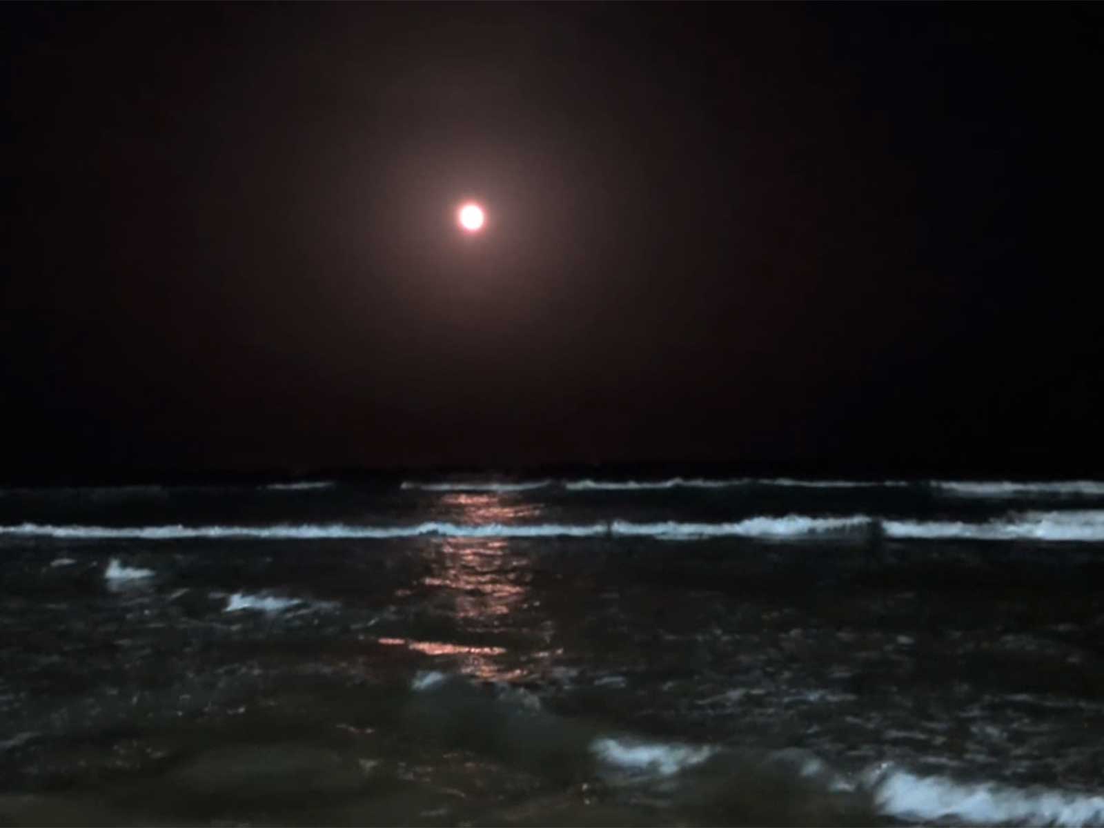 Full moon at Tiruchendur beach (Photo/ANI)