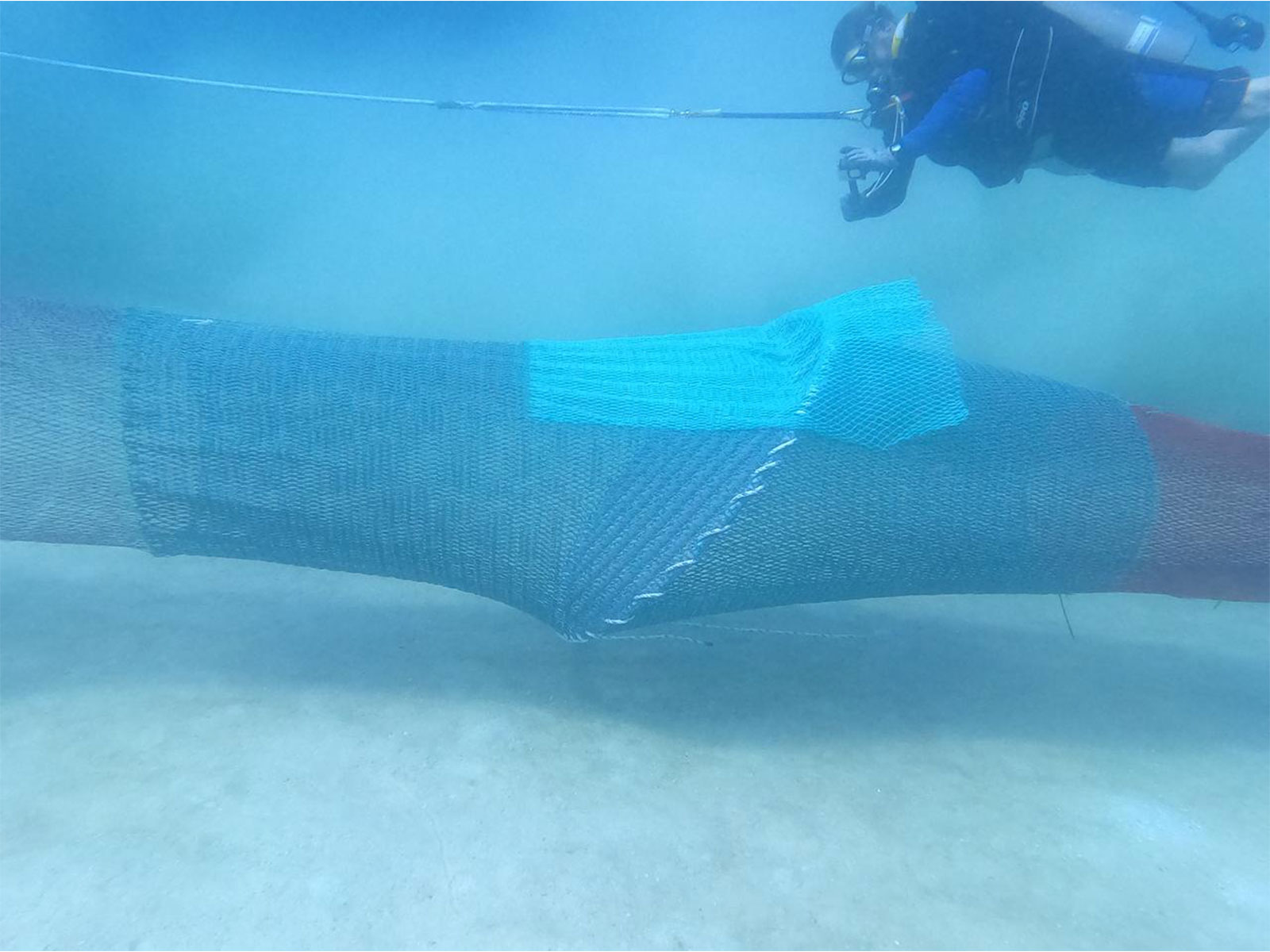 Gujarat's Fishermen to adopt TED to safeguard sea turtles (Photo/GujaratCMO)