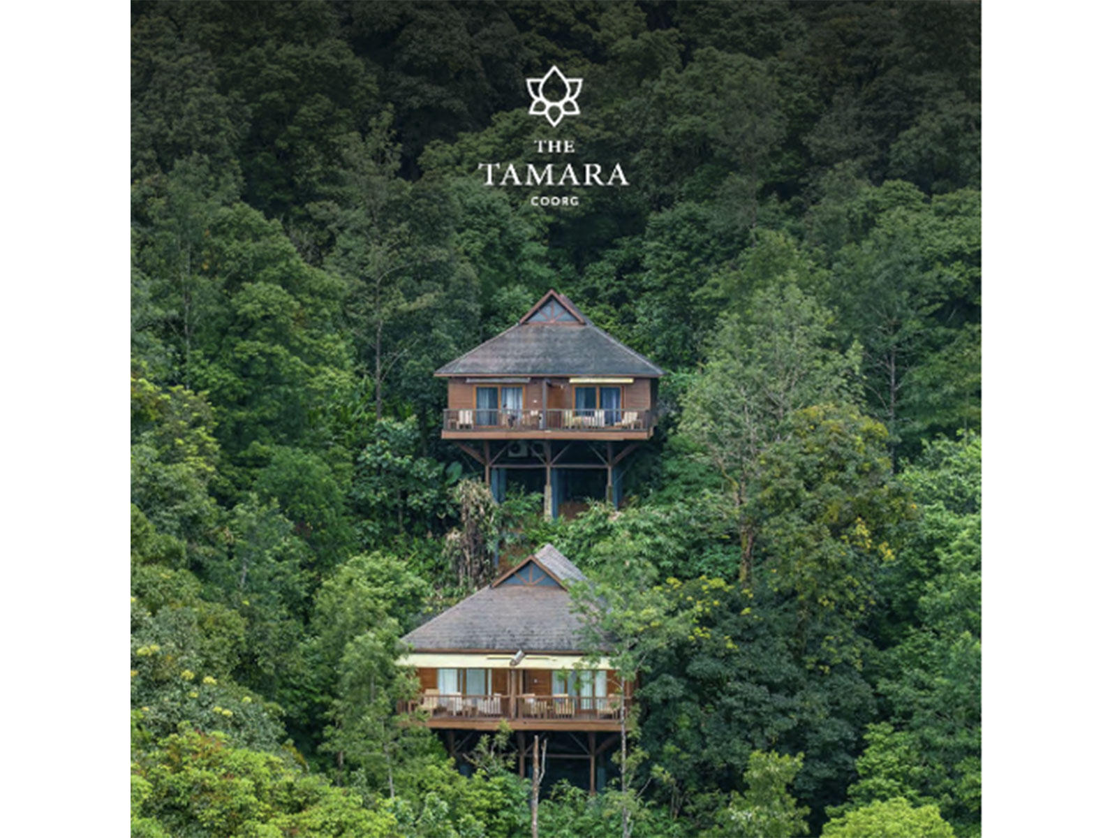 The Tamara Coorg (Photo/TaamaraCoorg)