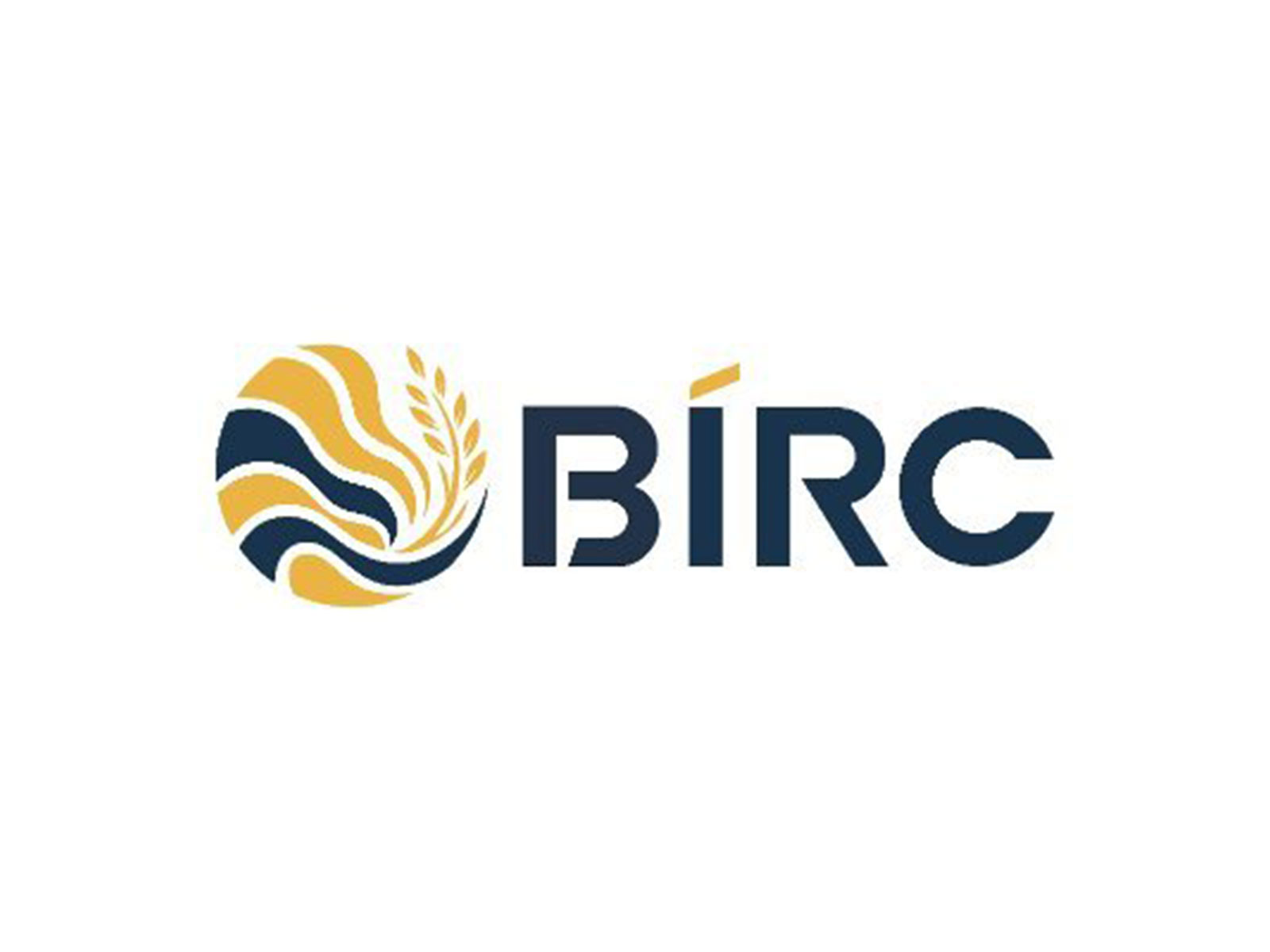 BIRC 2026 logo (Photo/@BIRC2026)