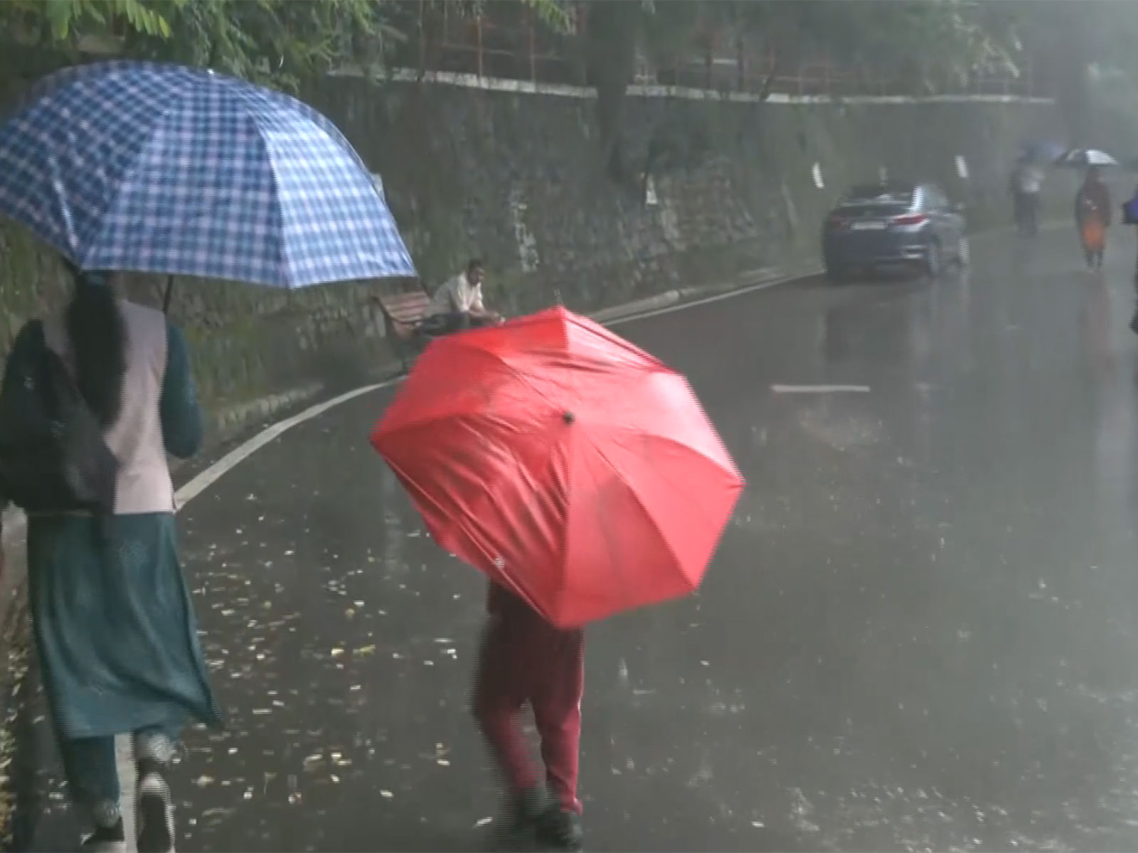Heavy rainfall lashes parts of Himachal (Photo/ANI)