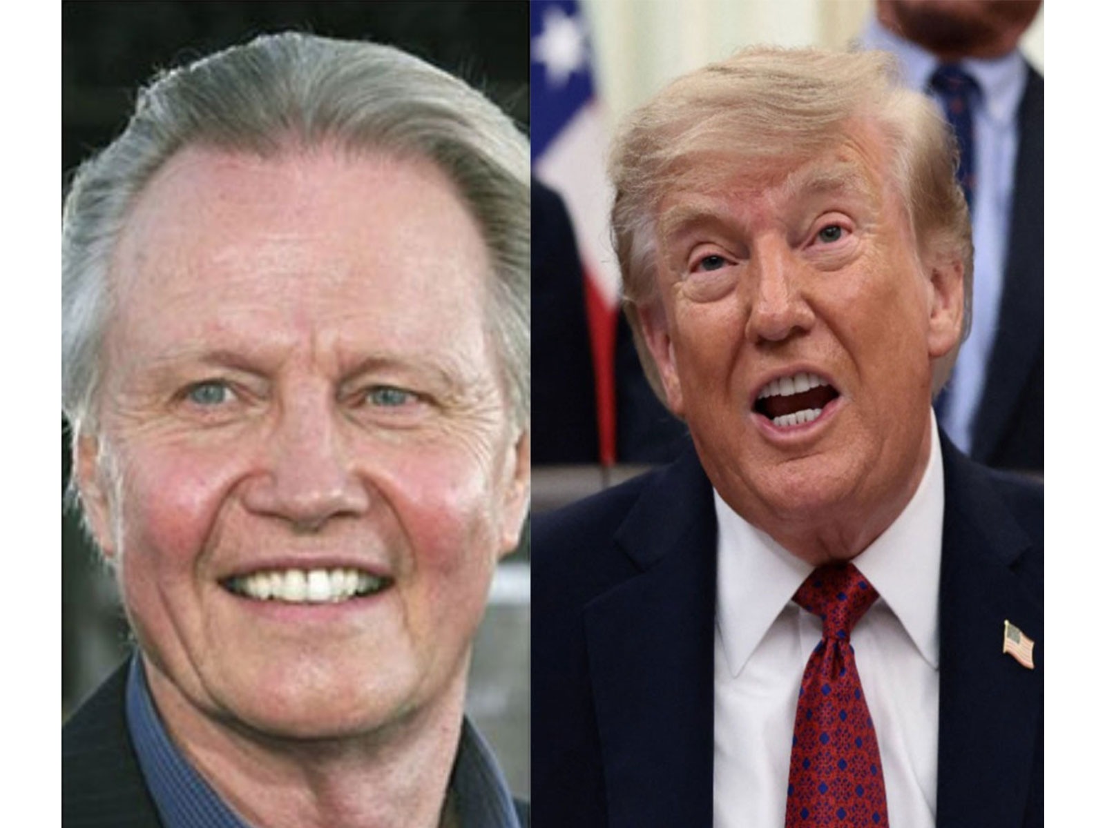 Jon Voight and US President Donald Trump. (Photo/@jonvoight/Reuters)