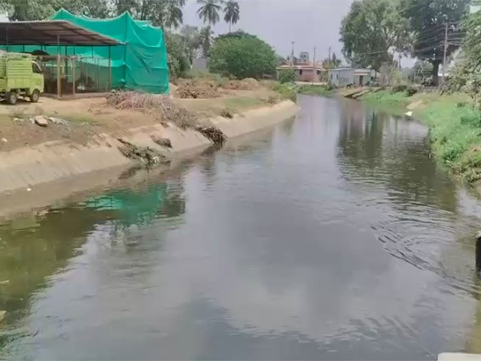 Mandya farmers have started preparing their fields for paddy transplantation (Photo/ANI)