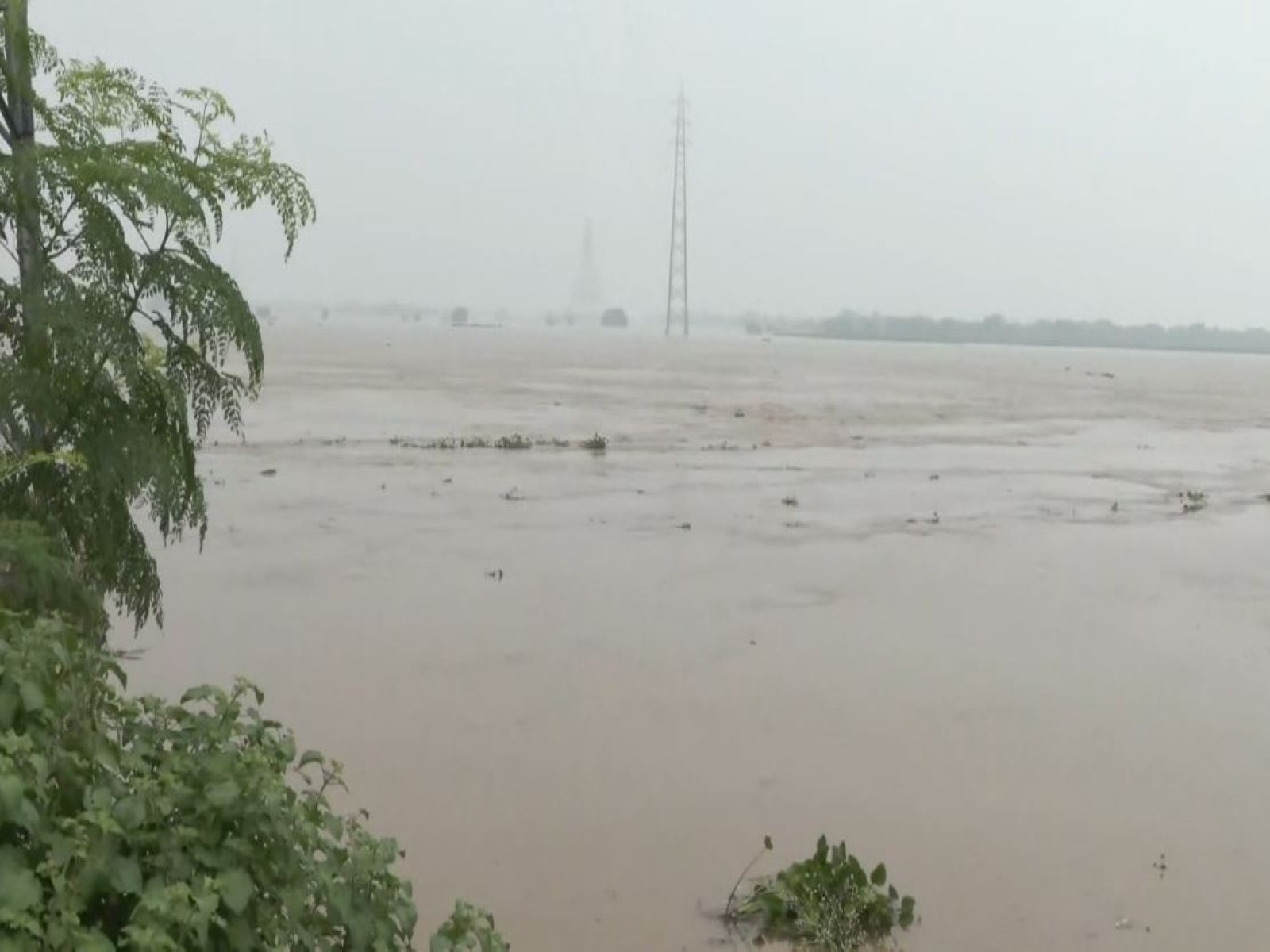 Nakta Diara area amid rising Ganga water levels in Bihar (Photo/ANI)