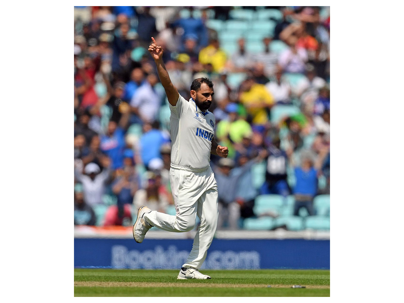 Mohammed Shami (Photo/ANI) 