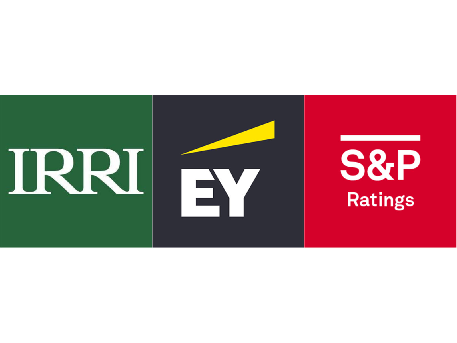 IRRI,  EY, S&P Global logo (Photo/@irri/@EYnews/@SPGlobalRatings)