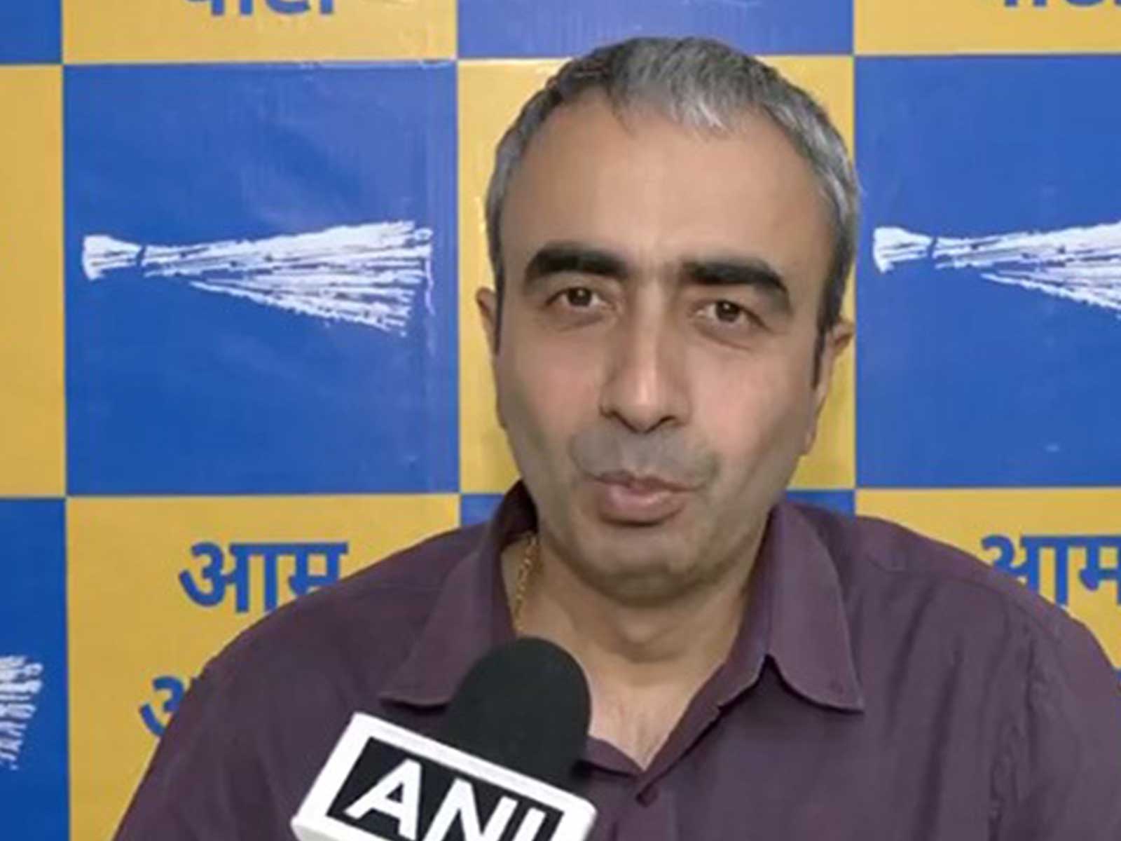 AAP media in-charge Anurag Dhandha (File photo/ANI)