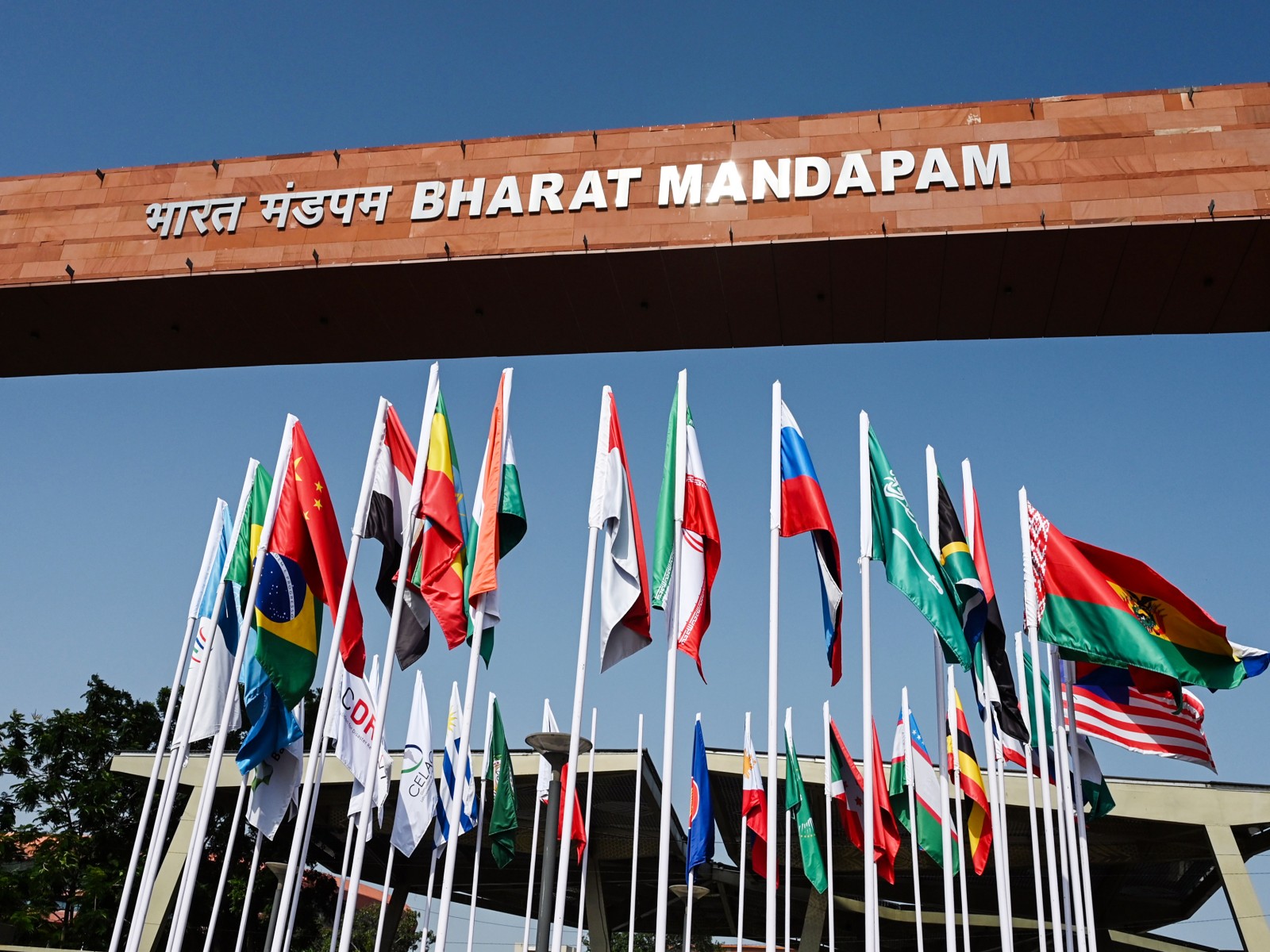 National Flags of countries participating in the 18th BRICS Summit (Photo/ANI)