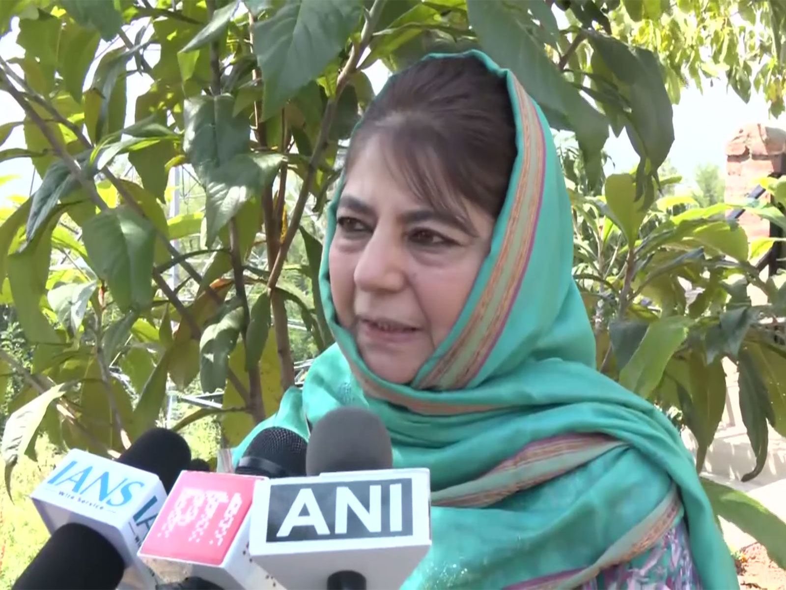  PDP chief Mehbooba Mufti (Photo/ANI)