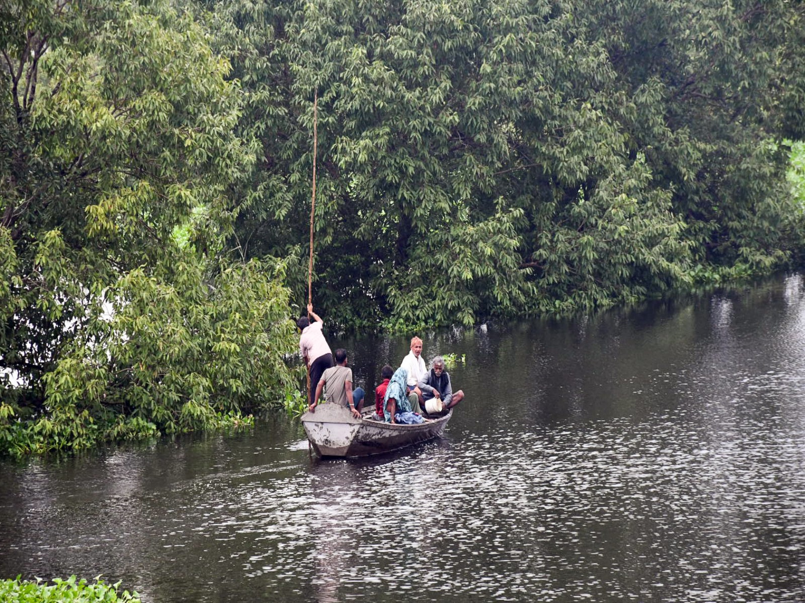 Locals commute by boat in flood affected areas in Kanpur (Photo/ANI)