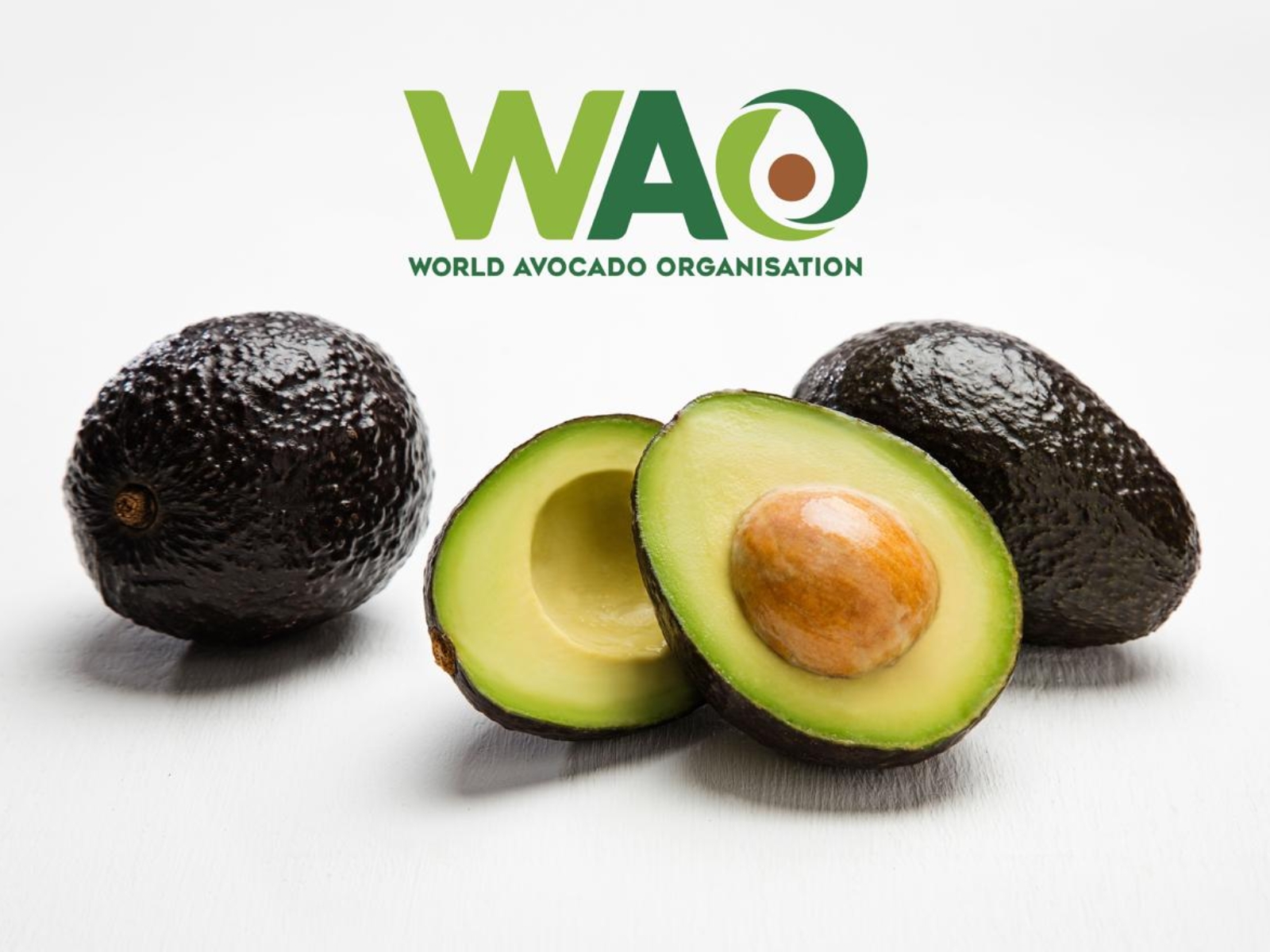 World Avocado Organisation Thanks Hon’ble Prime Minister of India for Spotlighting the Nutritional Benefits and Versatility of Avocados