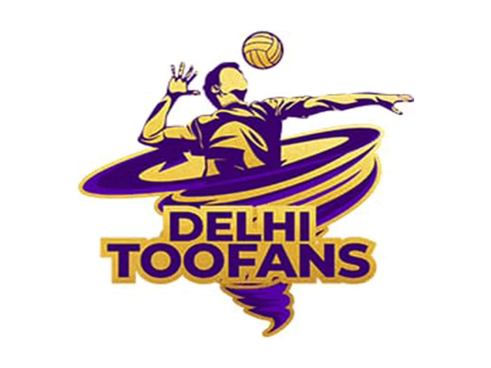 Delhi Toofans logo (Photo: Delhi Toofans)