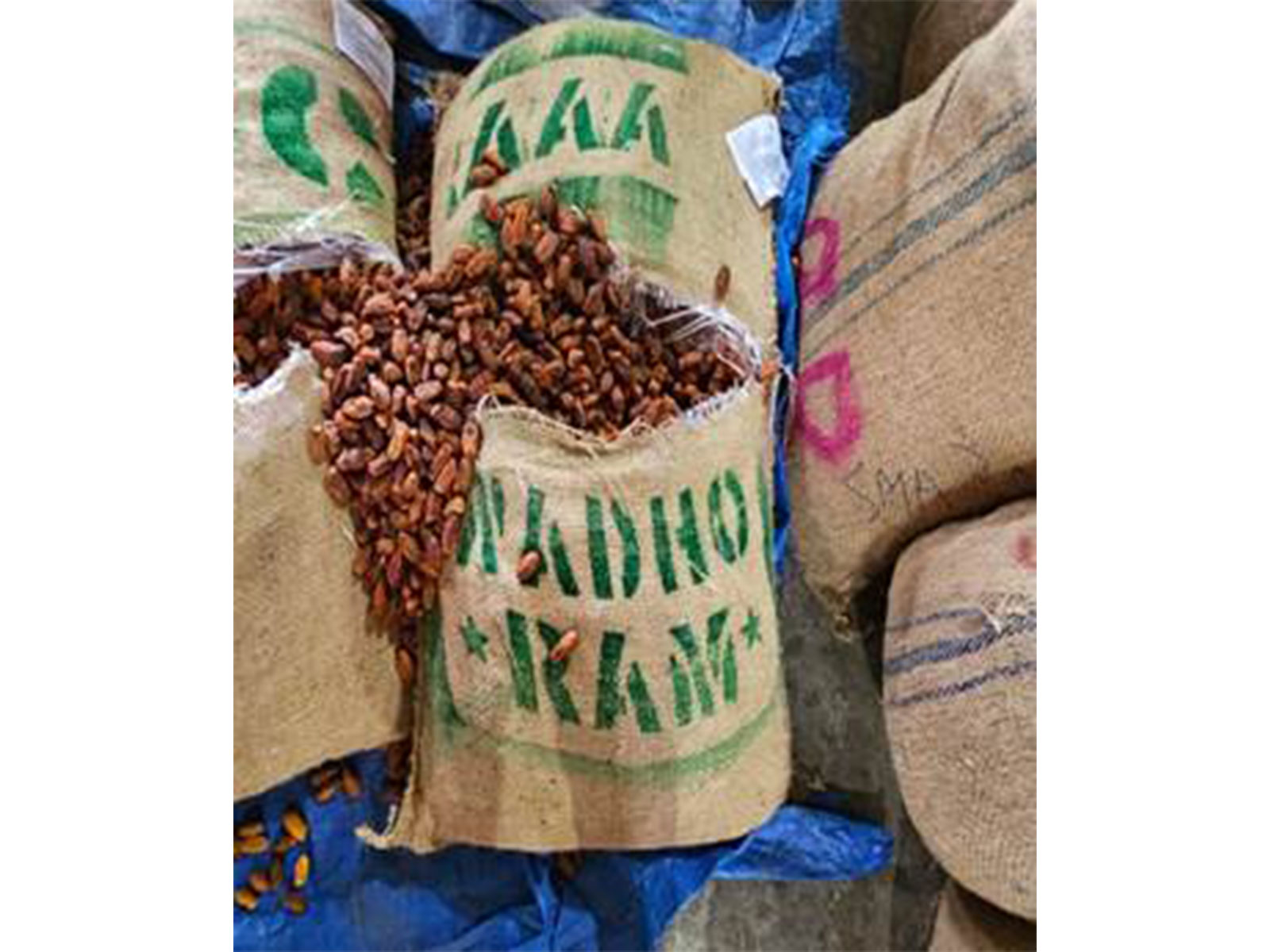 Seized items (Photo/PIB)