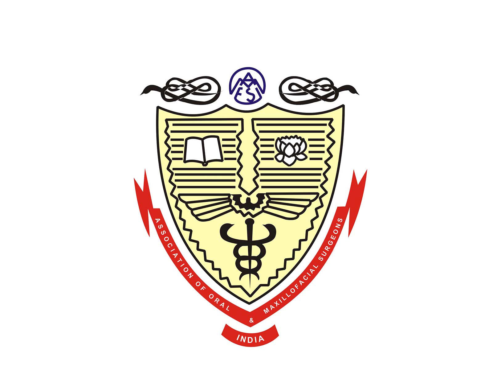 Association of Oral and Maxillofacial Surgeons of India (Photo/AOMSI)