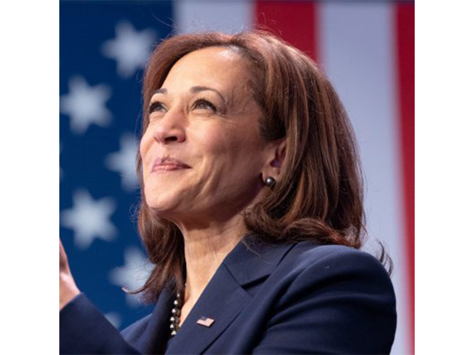 Former US Vice President Kamala Harris (Photo/X_@KamalaHarris)