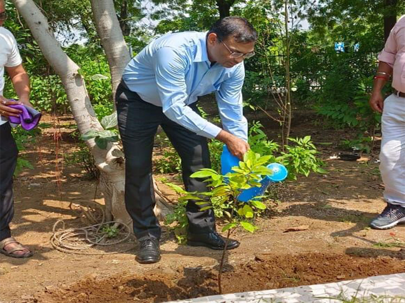 Plantation Drive at Udyog Bhavan campus in Gujarat (Photo/Gujarat CMO)