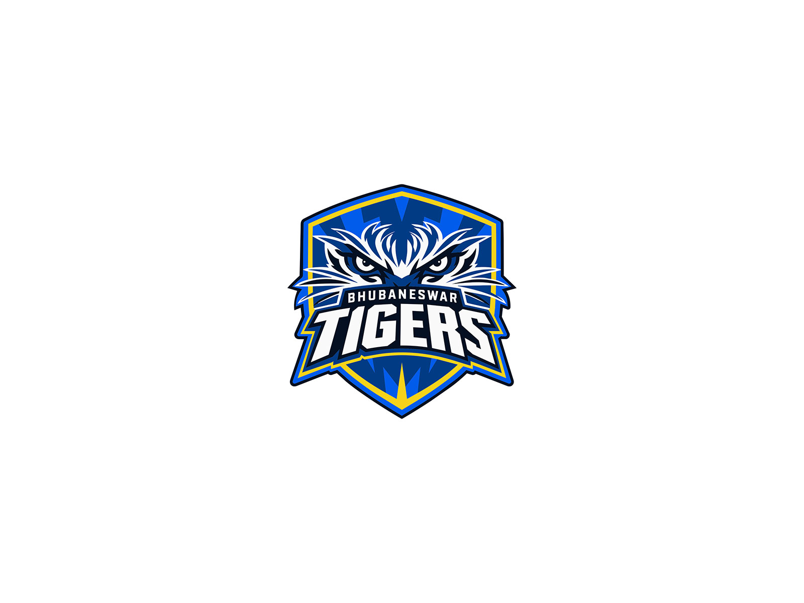 Hunch Ventures Expands Sports Portfolio with Bhubaneswar Tigers Franchise in Odisha T20 League