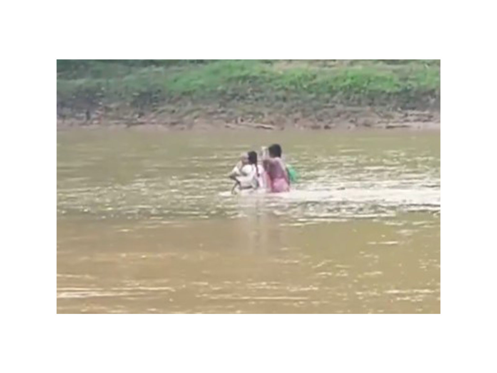 Chhattisgarh teachers crossing river to reach their classroom (Photo/ANI)