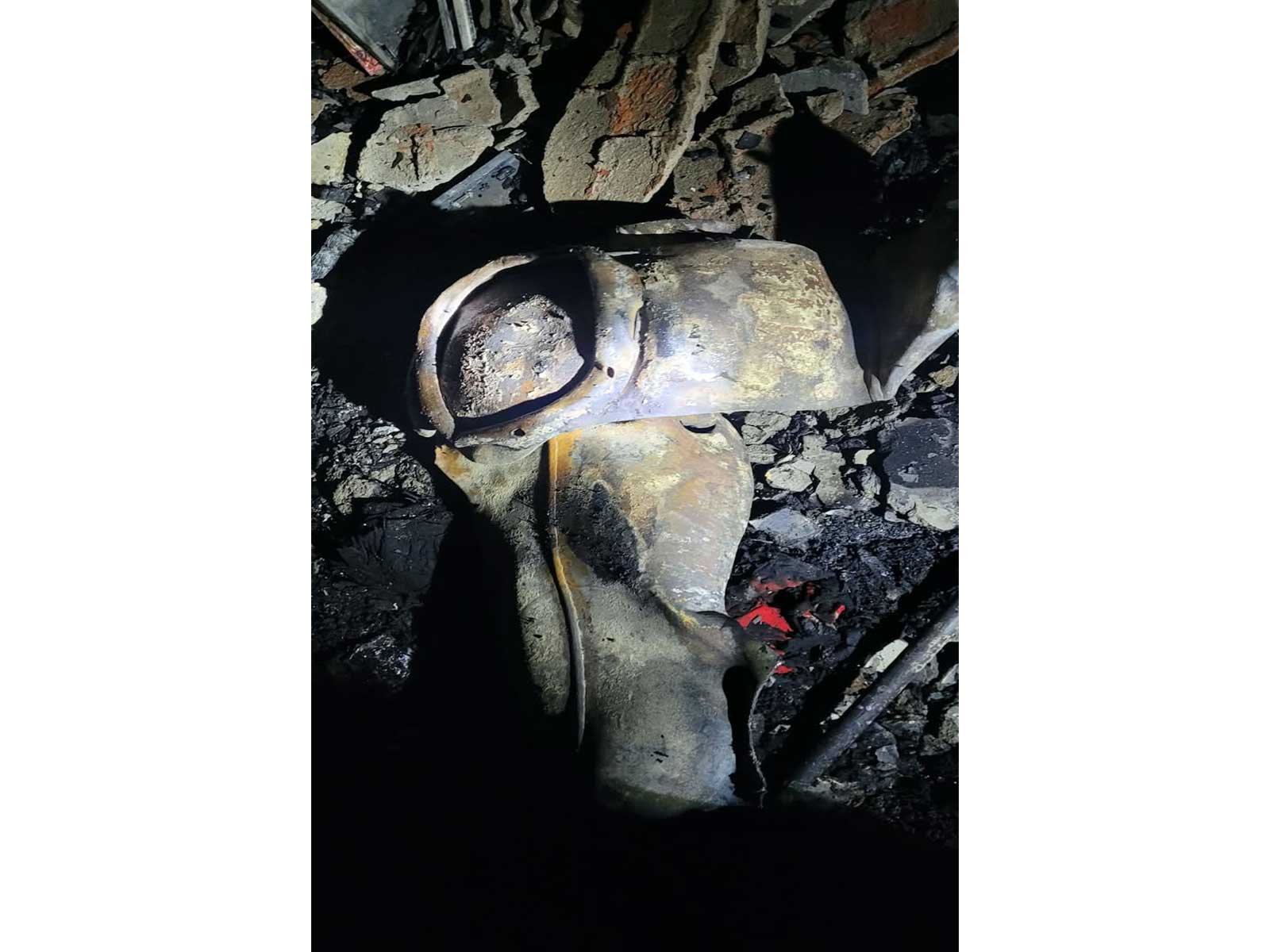 Visual from the spot (Photo/DelhiFireService)