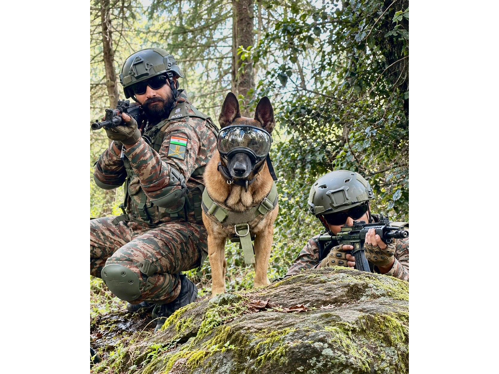 Indian Army canines participate in Exercise Yudh Abhyas 2026 (Photo/Indian Army)