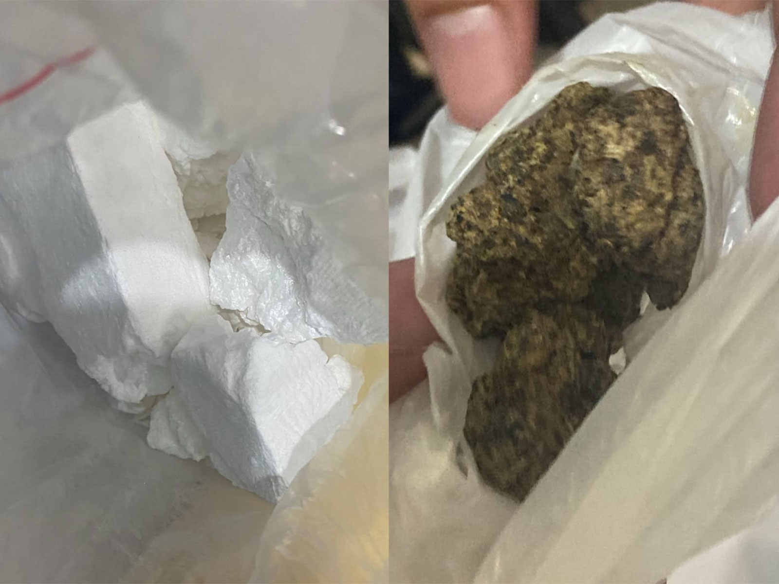 Seized narcotics substance (Photo / DRI Indore zonal unit) 