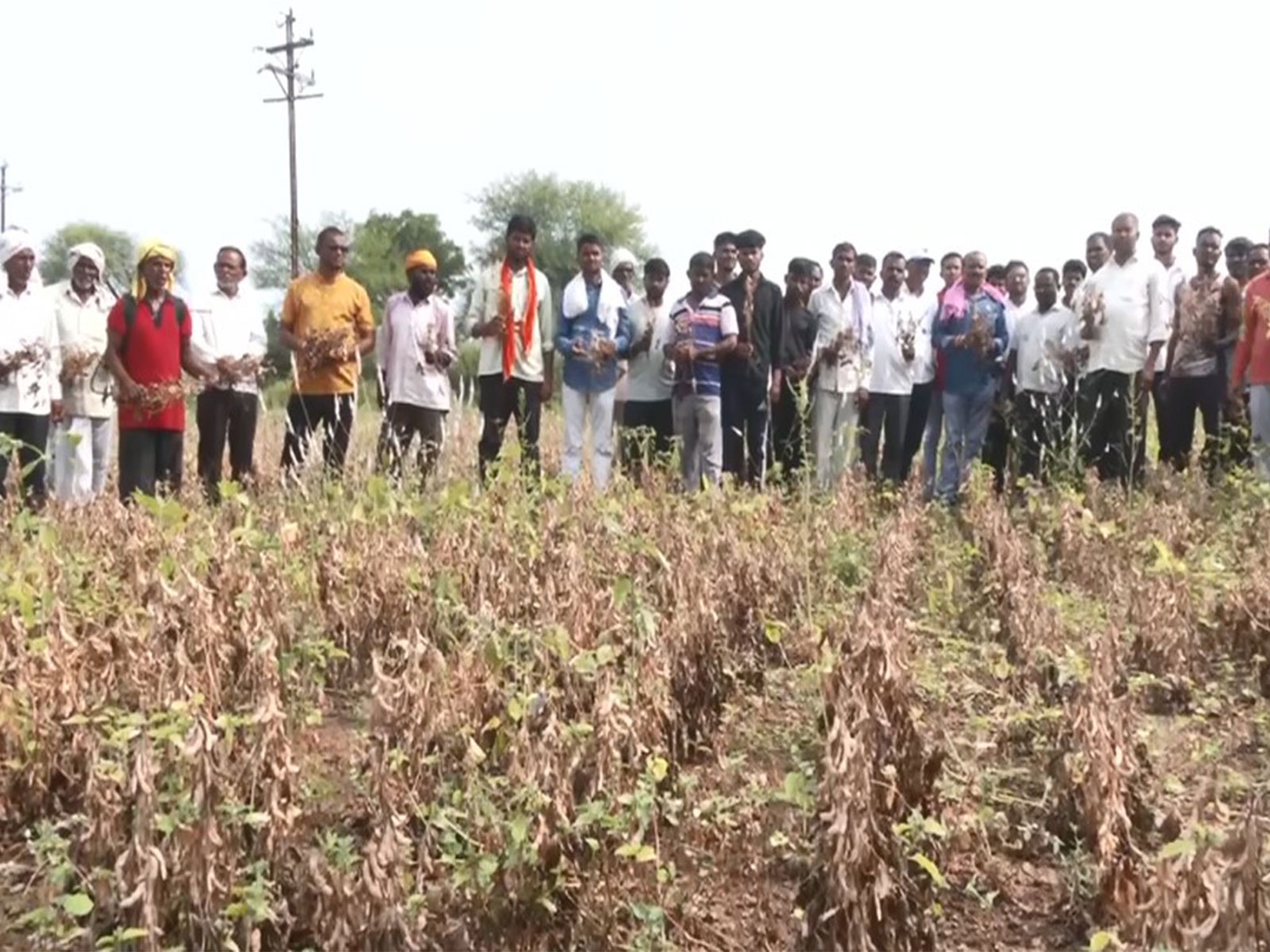 Farmers face severe drought conditions in Yavatmal (Photo/ANI) 