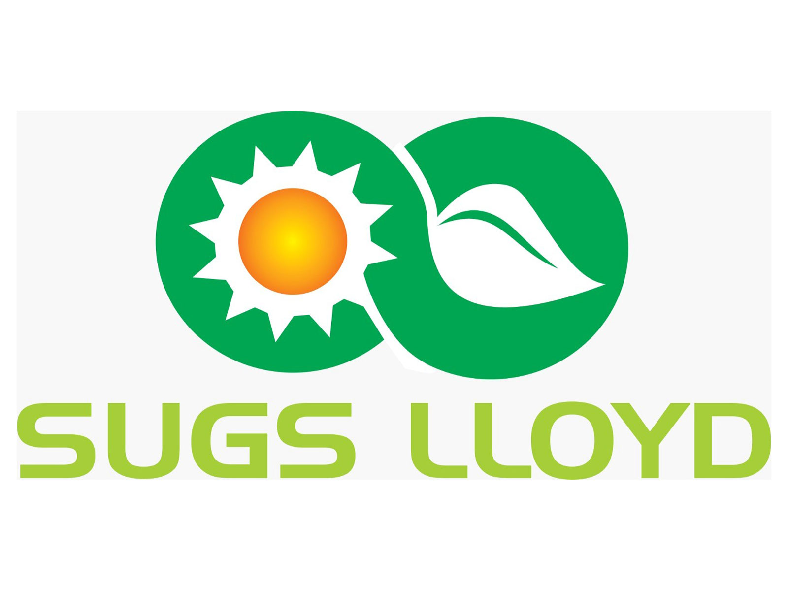 SUGS Lloyd Limited receives Rs. 213.48 crore contract for power distribution works in Punjab