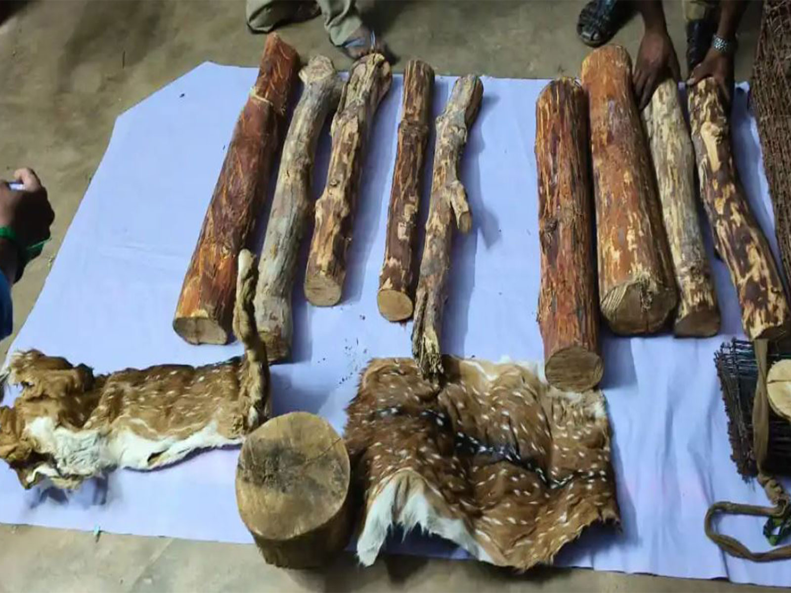 Siezed items (Photo/ANI)
