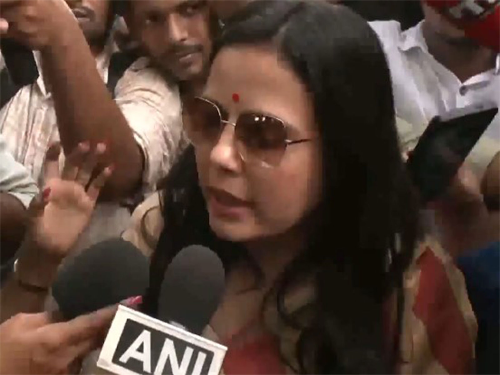 TMC MP Mahua Moitra (Photo/ANI)