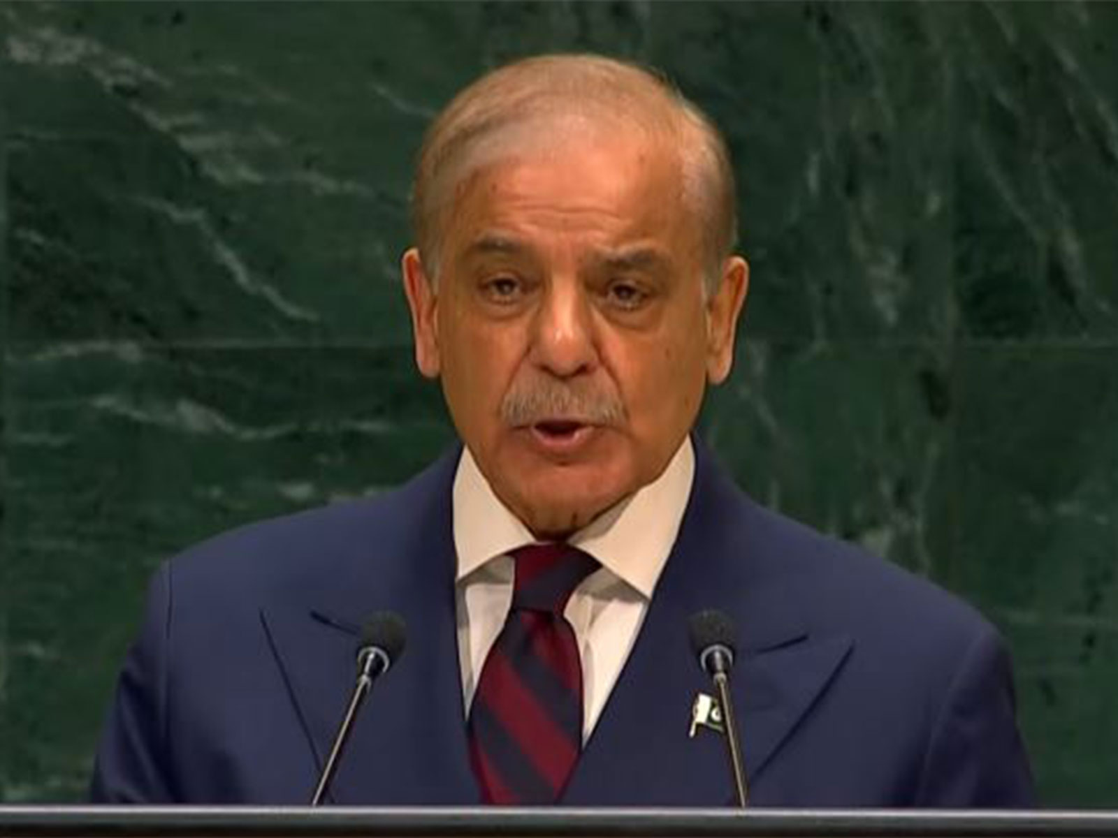 Pakistan Prime Minister Shehbaz Sharif (Photo/TheUnitedNations/Youtube)