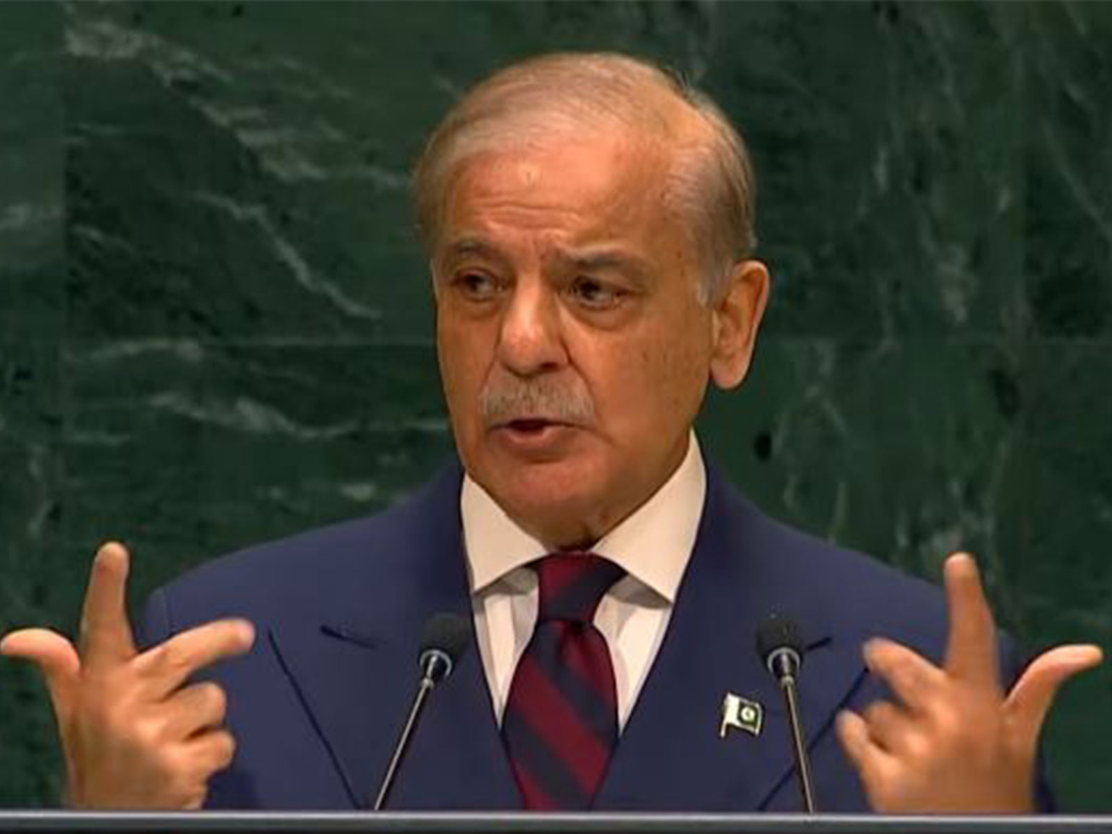 Pakistan Prime Minister Shehbaz Sharif (Photo/TheUnitedNations/Youtube)