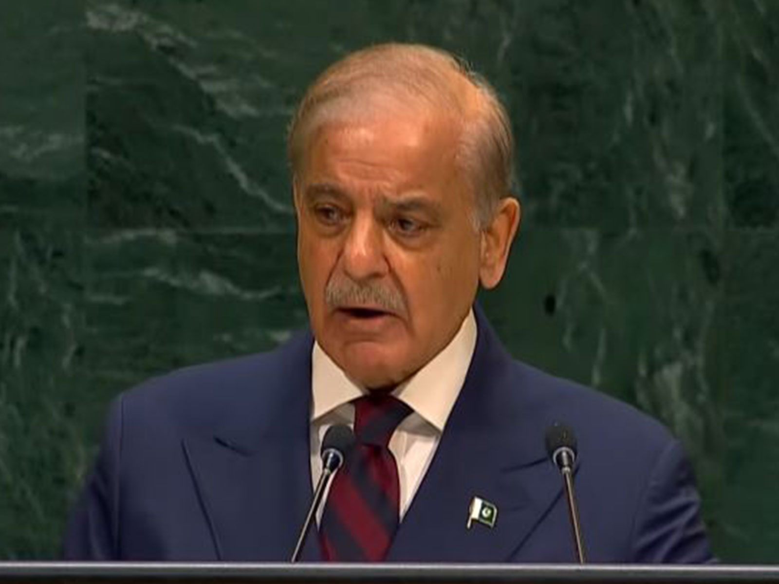 Pakistan Prime Minister Shehbaz Sharif (Photo/TheUnitedNations/Youtube)