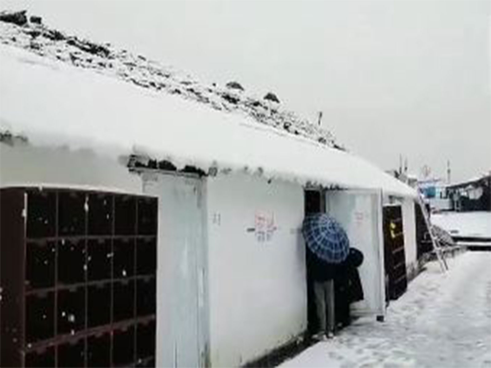 Continuous snowfall in Chamoli distrcit (Photo/ANI) 