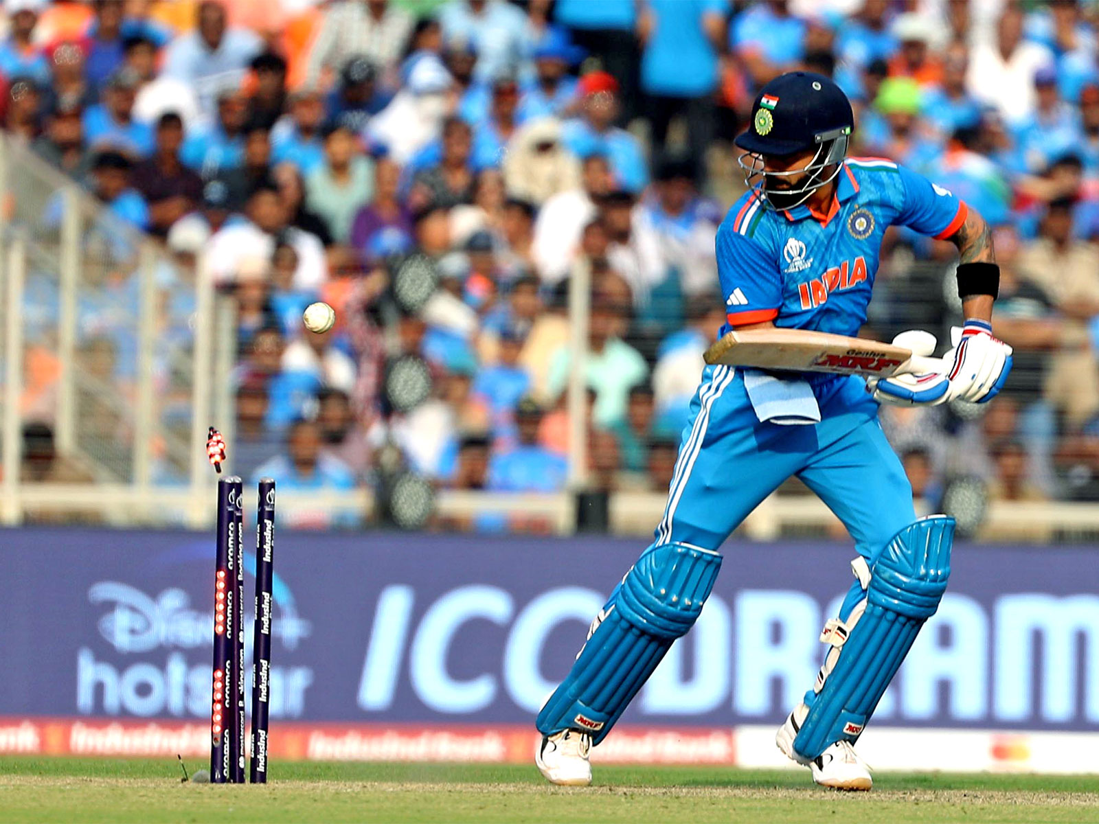 Virat Kohli getting clean bowled by Pat Cummins in WC final. (Photo: ANI)