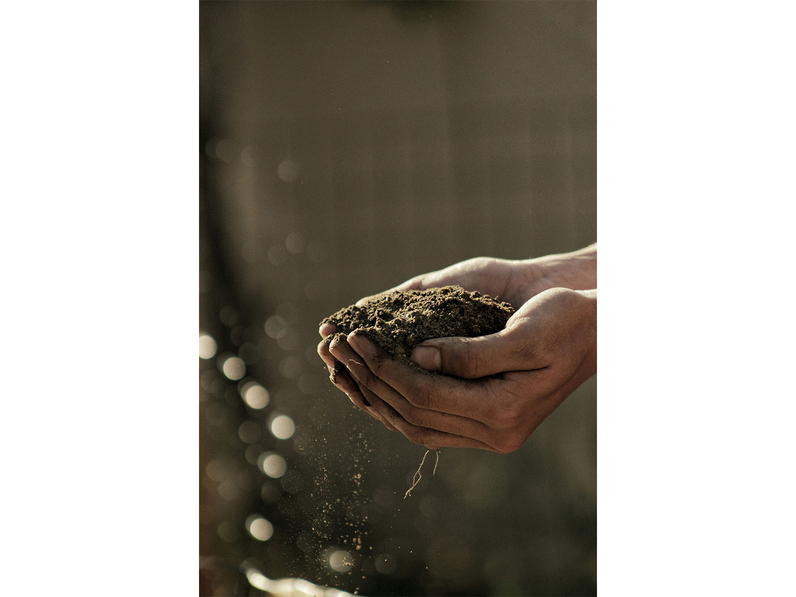 Representative Image (Photo/unsplash)