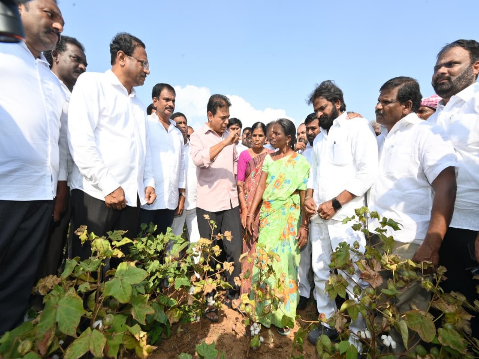 KTR inspects dried-up crops (Photo/BRS)