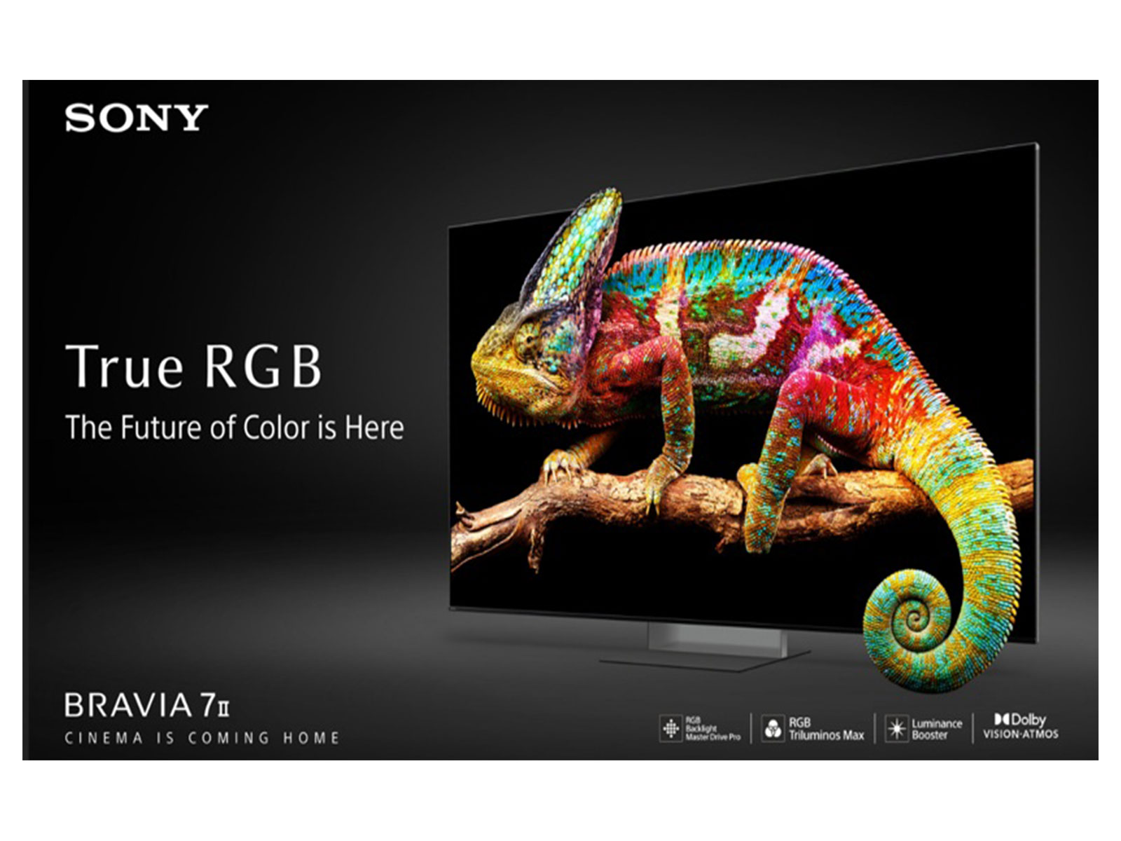 BRAVIA 7 II: A new dimension of colour with True RGB