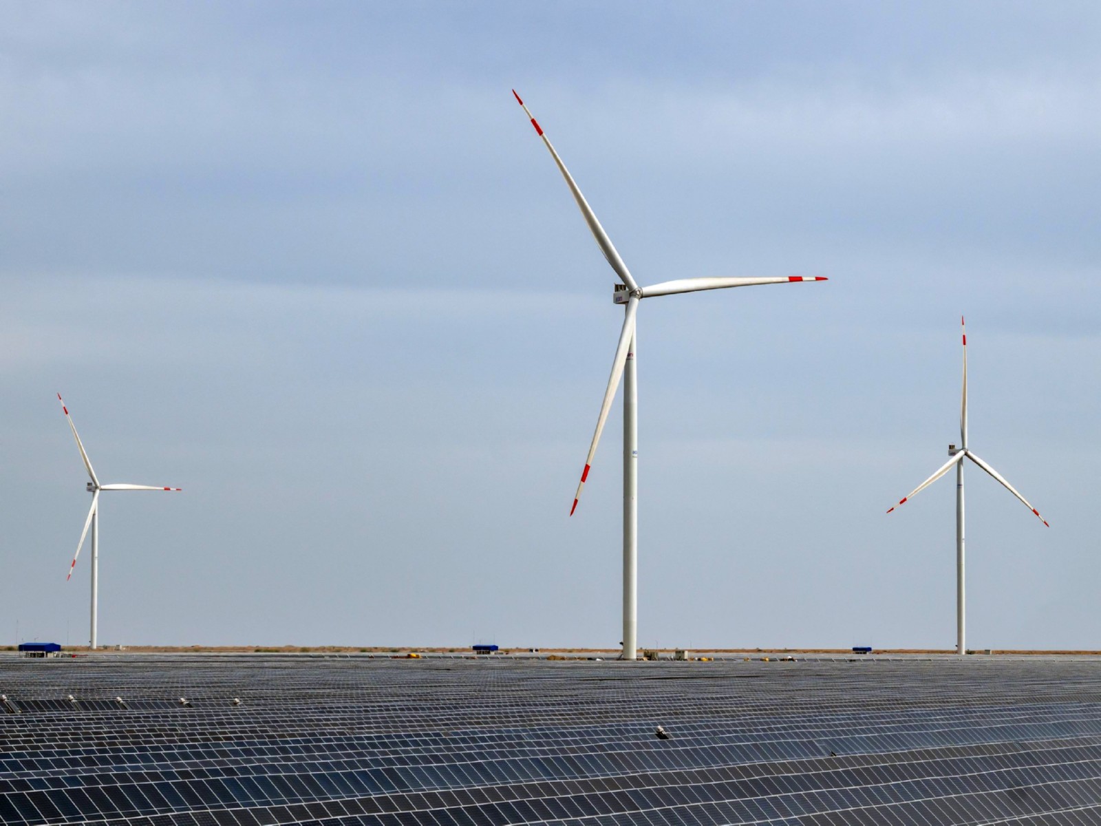  A vast solar power array with wind turbines at a renewable energy facility. (File Photo-ANI) 