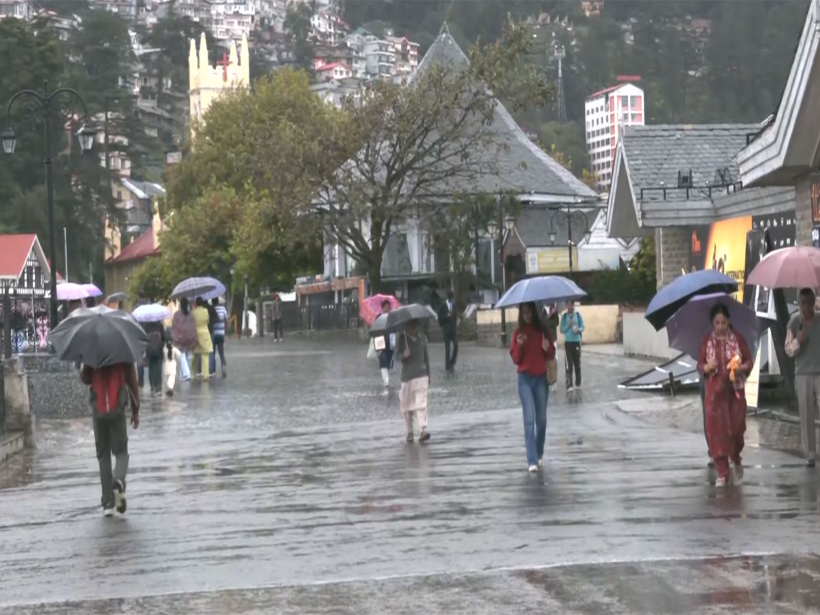 Shimla rainfall (Photo/ANI)